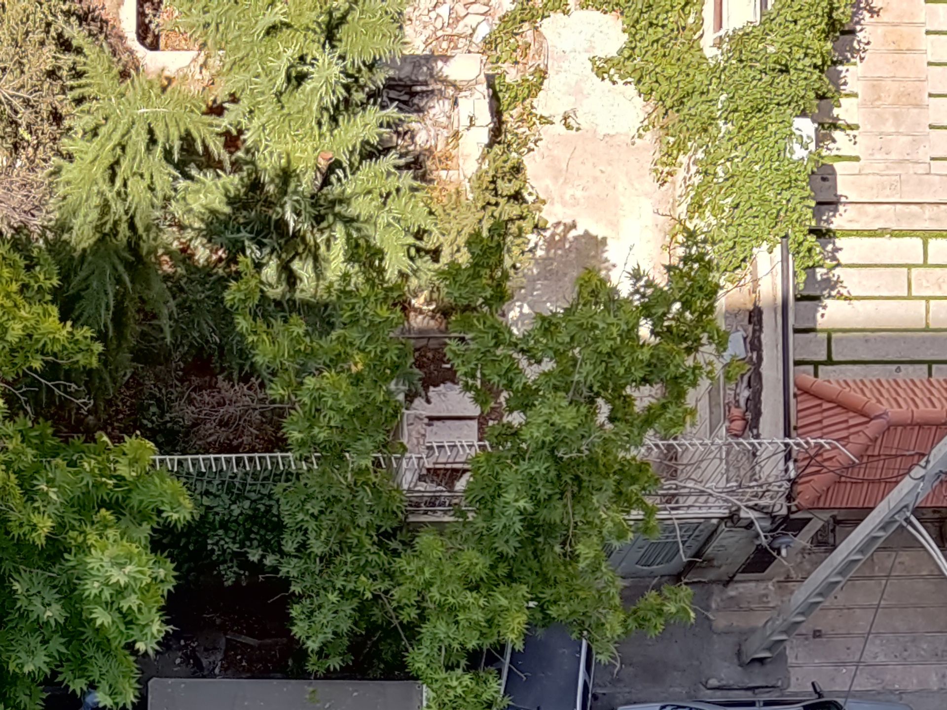 کراپ ۱۰۰ درصدی عکس نمونه دوربین اصلی پوکو X3 پرو - دفتر زومیت