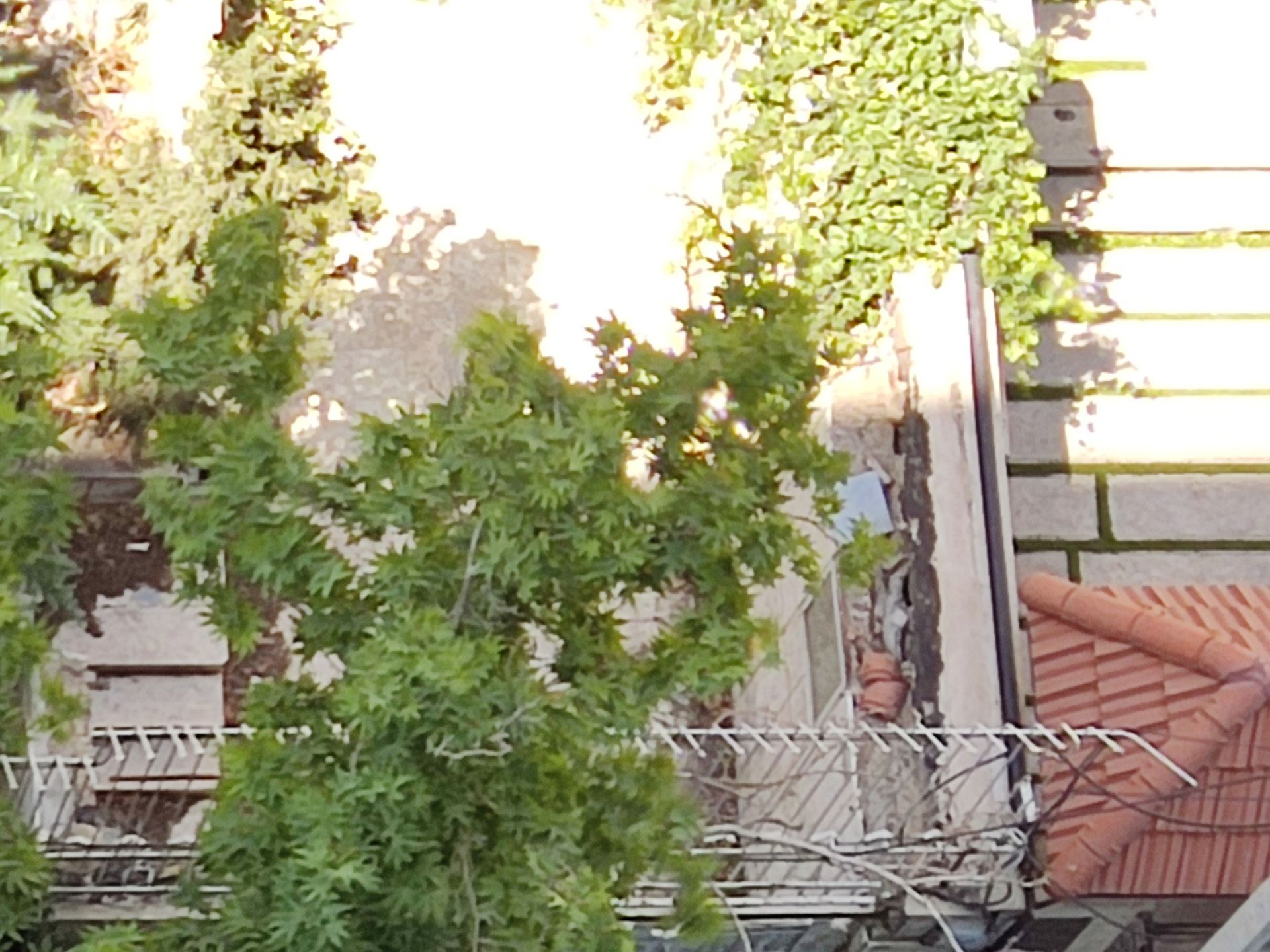 کراپ ۱۰۰ درصدی عکس نمونه ۲ برابری دوربین اصلی پوکو X3 پرو - دفتر زومیت