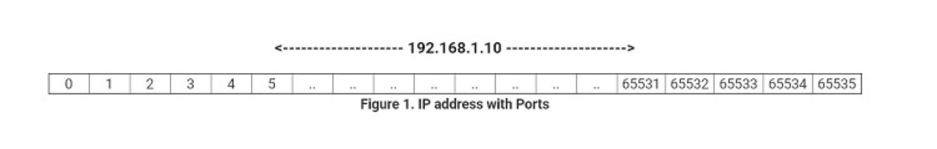 پورت‌های TCP و UDP nv آدرس IP 