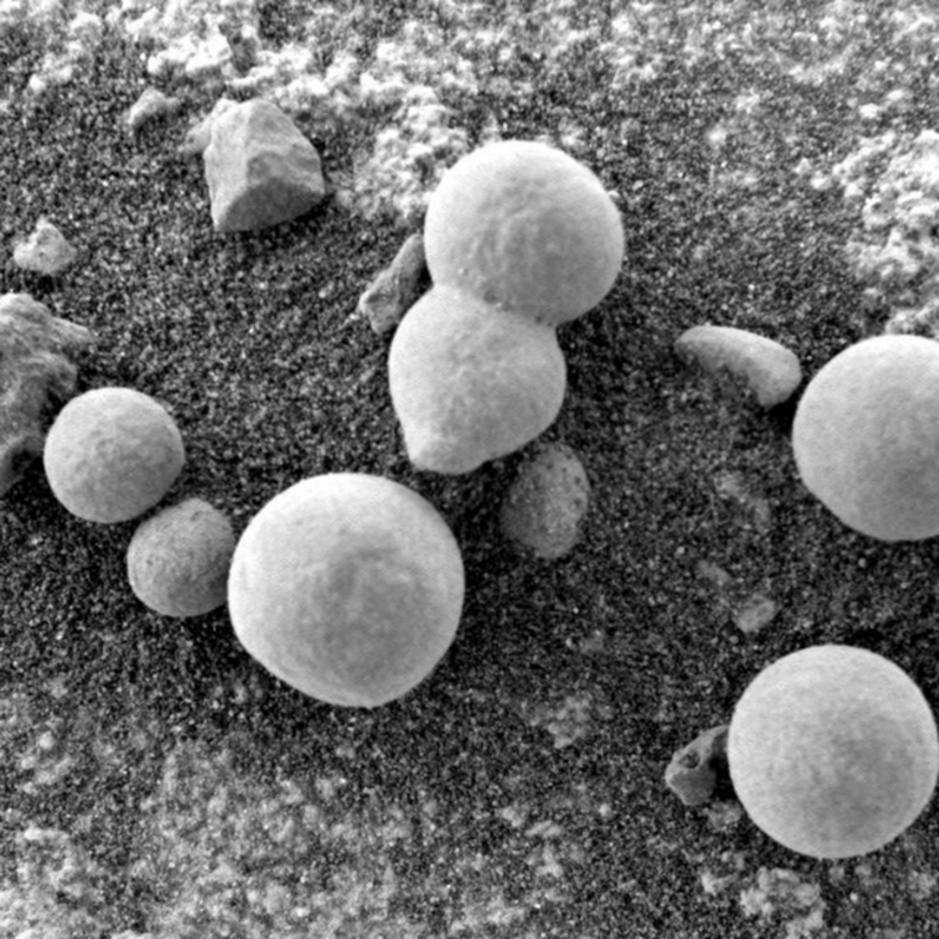 تصویری از احتمال حیات باکتریایی در سطح مریخ