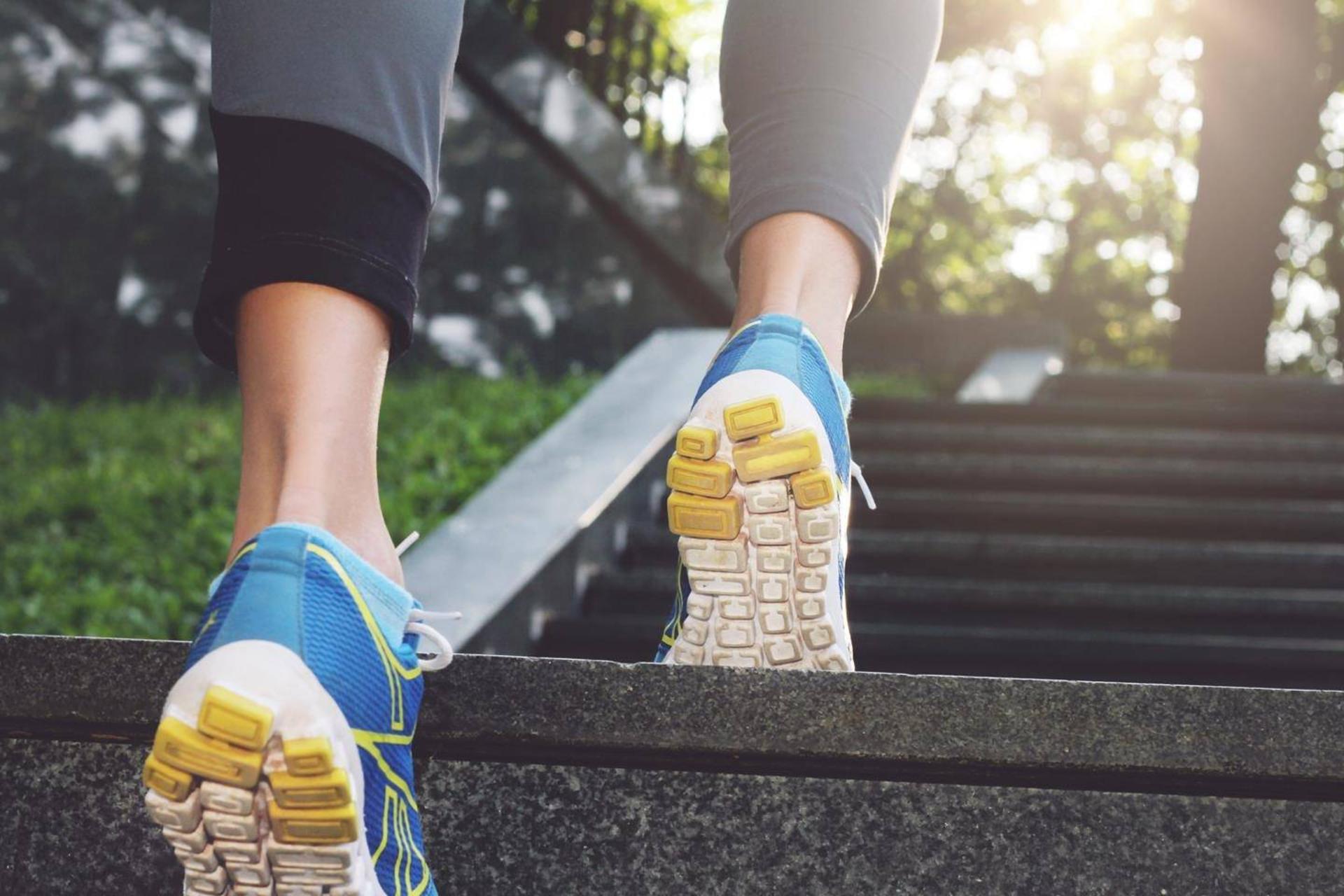 فعالیت بدنی بالا رفتن از پله ها / Stair climbing