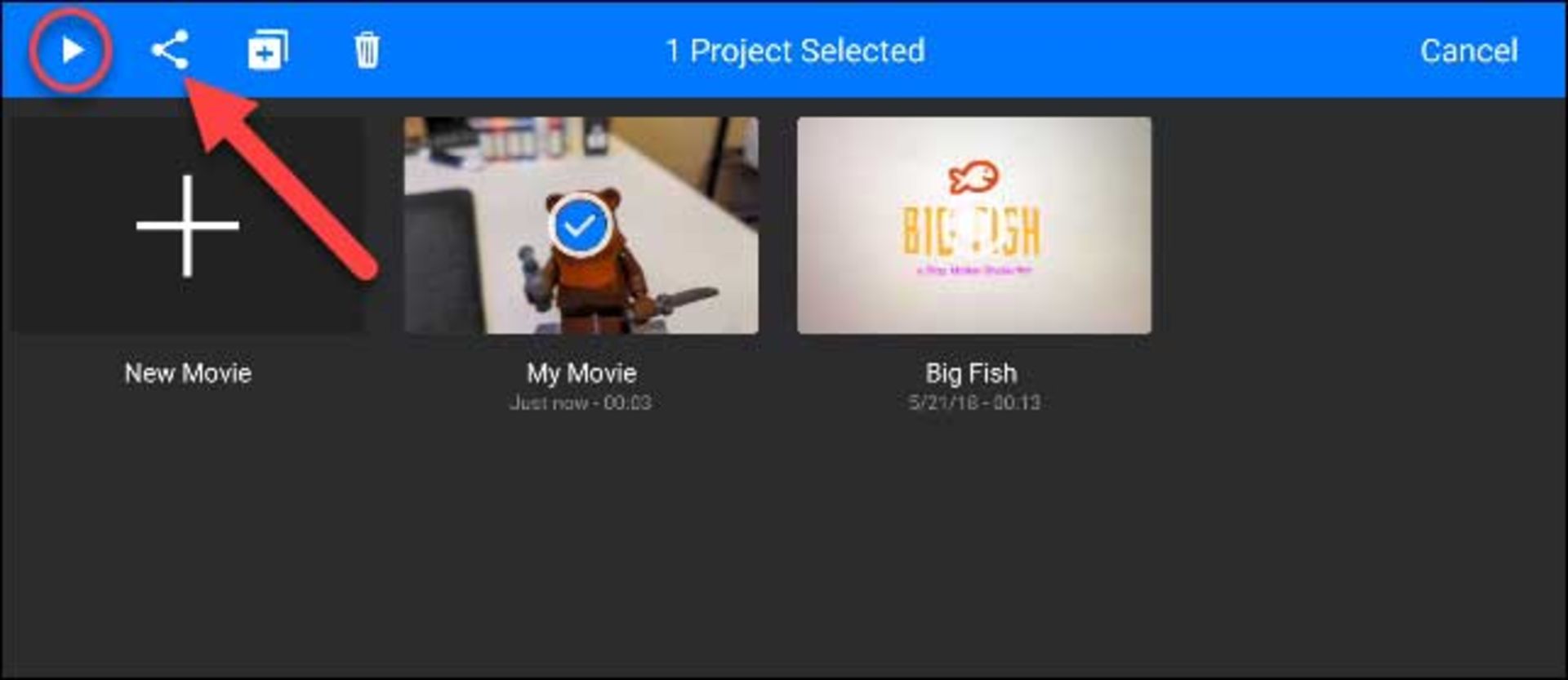 استاپ موشن 13