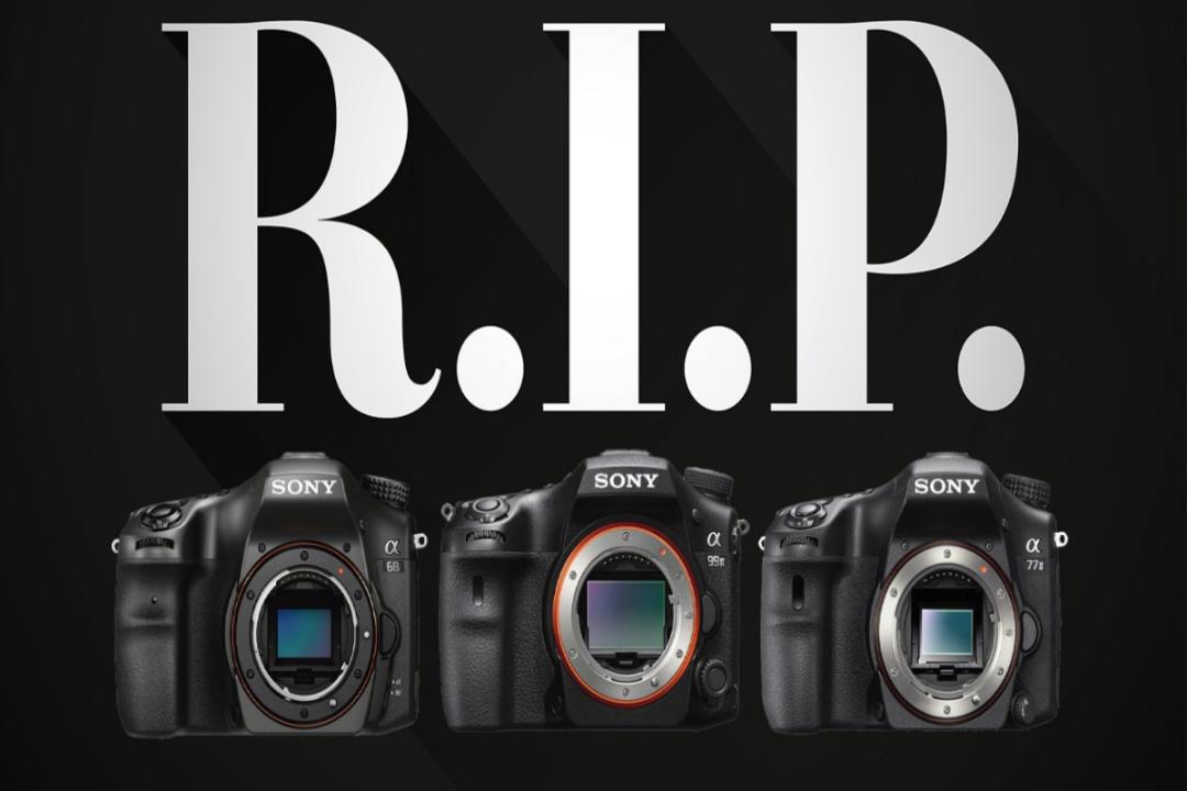 نمایی از سه دوربین DSLR سونی