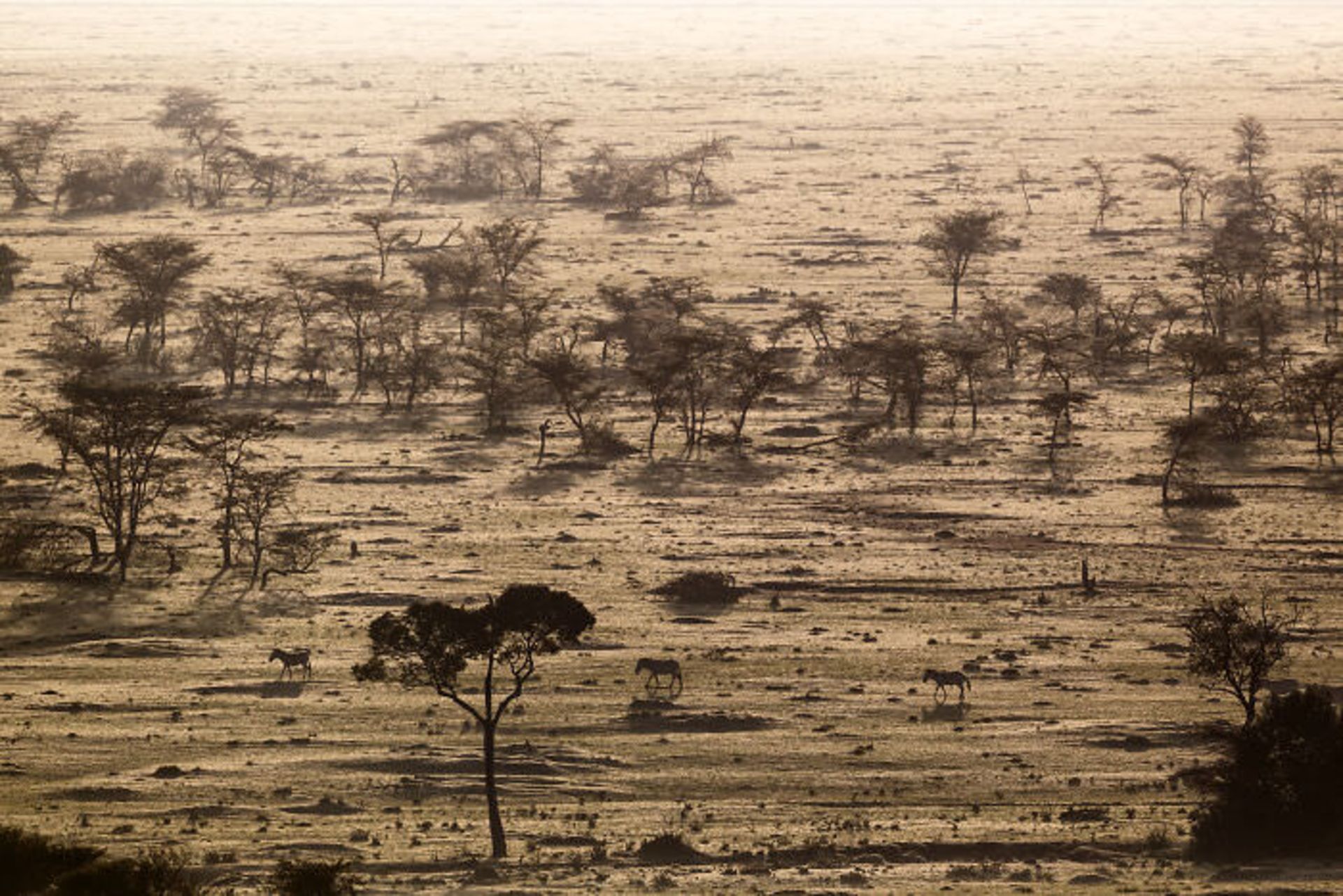 منظره برهوت / اوری و هلی لاویلد گلمن