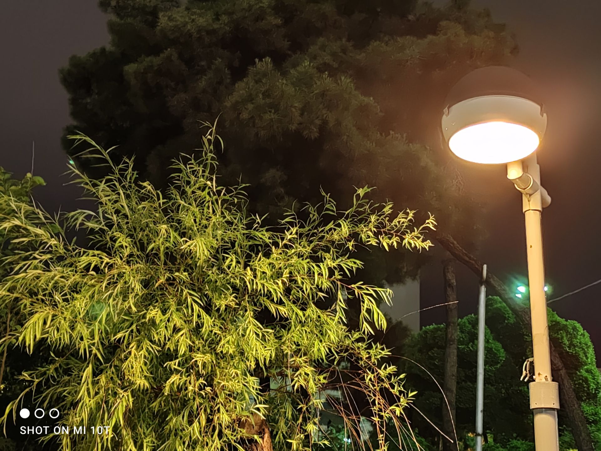 نمونه عکس دوربین اصلی شیائومی می 10 تی با زوم دو برابر - چراغ در پارک