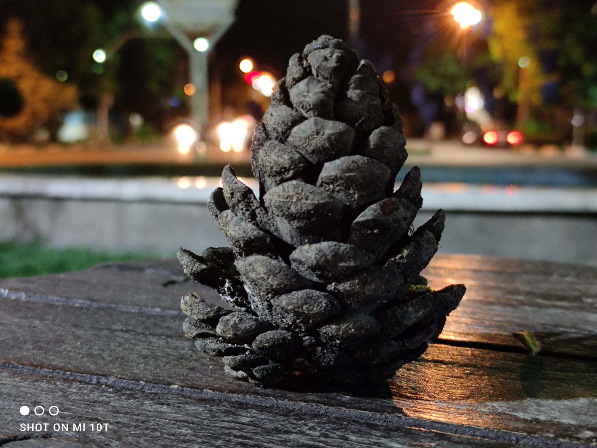 نمونه عکس دوربین اصلی شیائومی می 10 تی با زوم دو برابر - میوه کاج