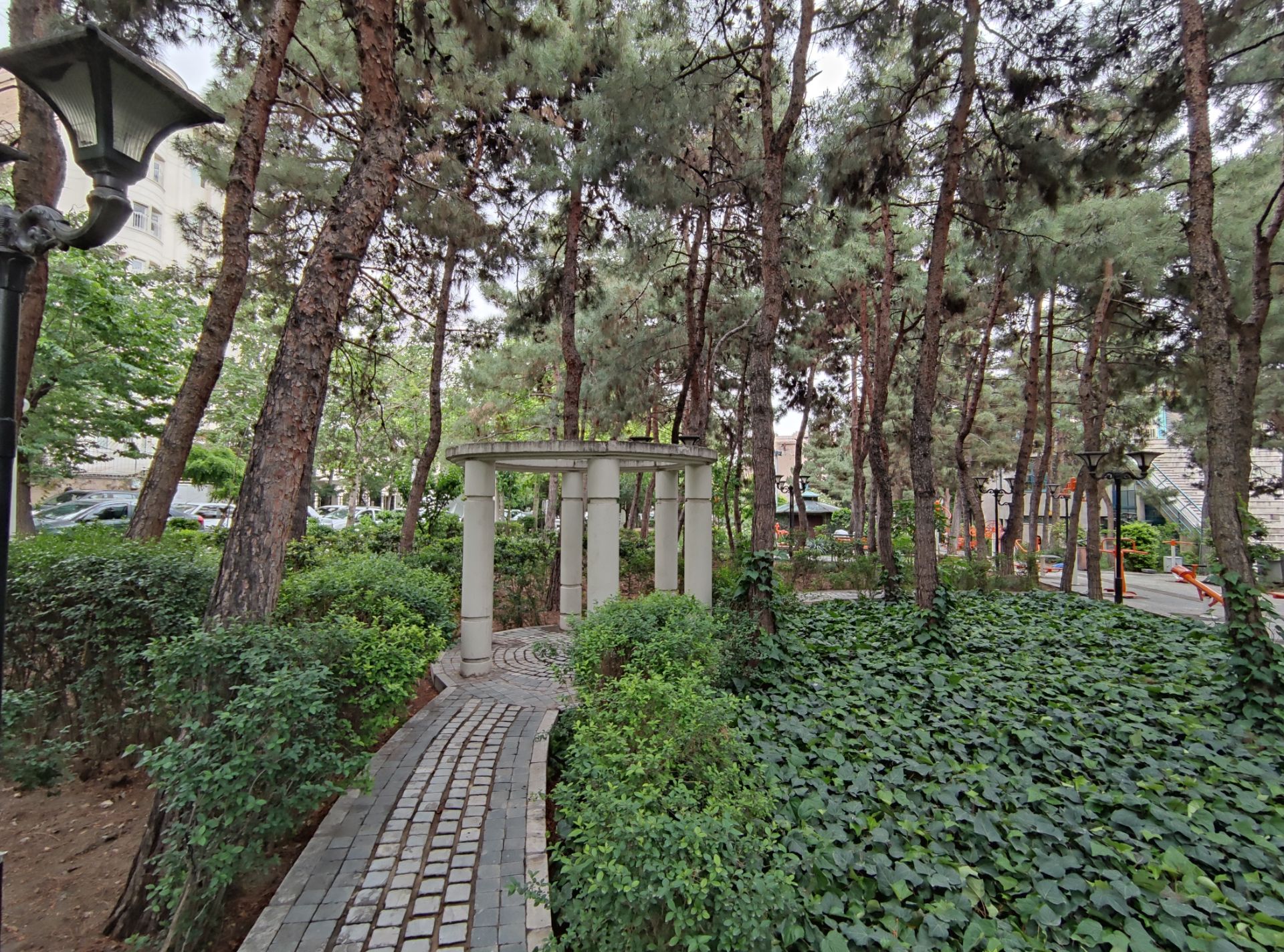 نمونه عکس دوربین اولتراواید شیائومی می 10 تی - نمایی در پارک صبا