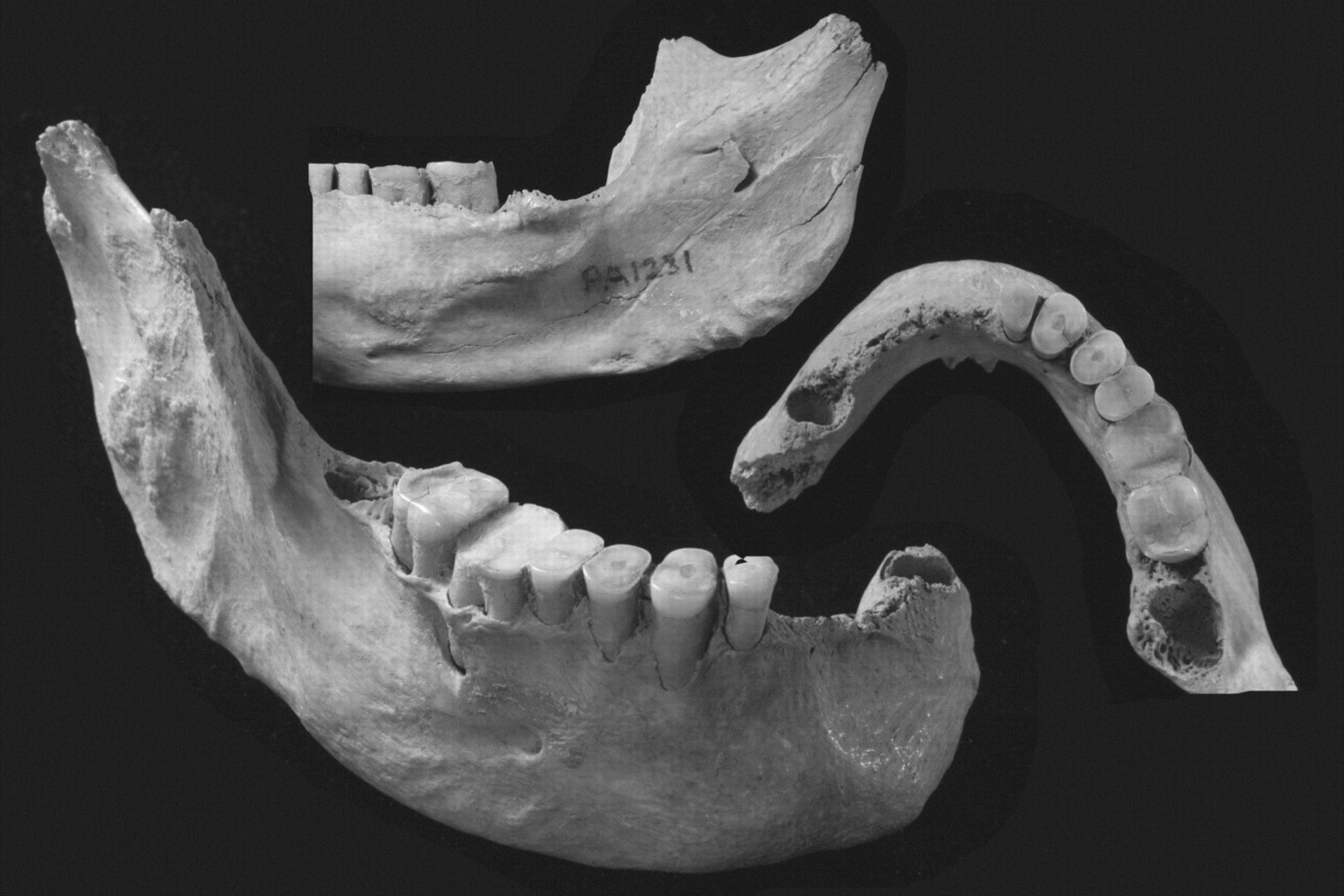 مردم اسرارآمیز شرق آسیا در عصر یخبندان ناپدید شدند و گروه دیگری جای آن‌ها را گرفتند