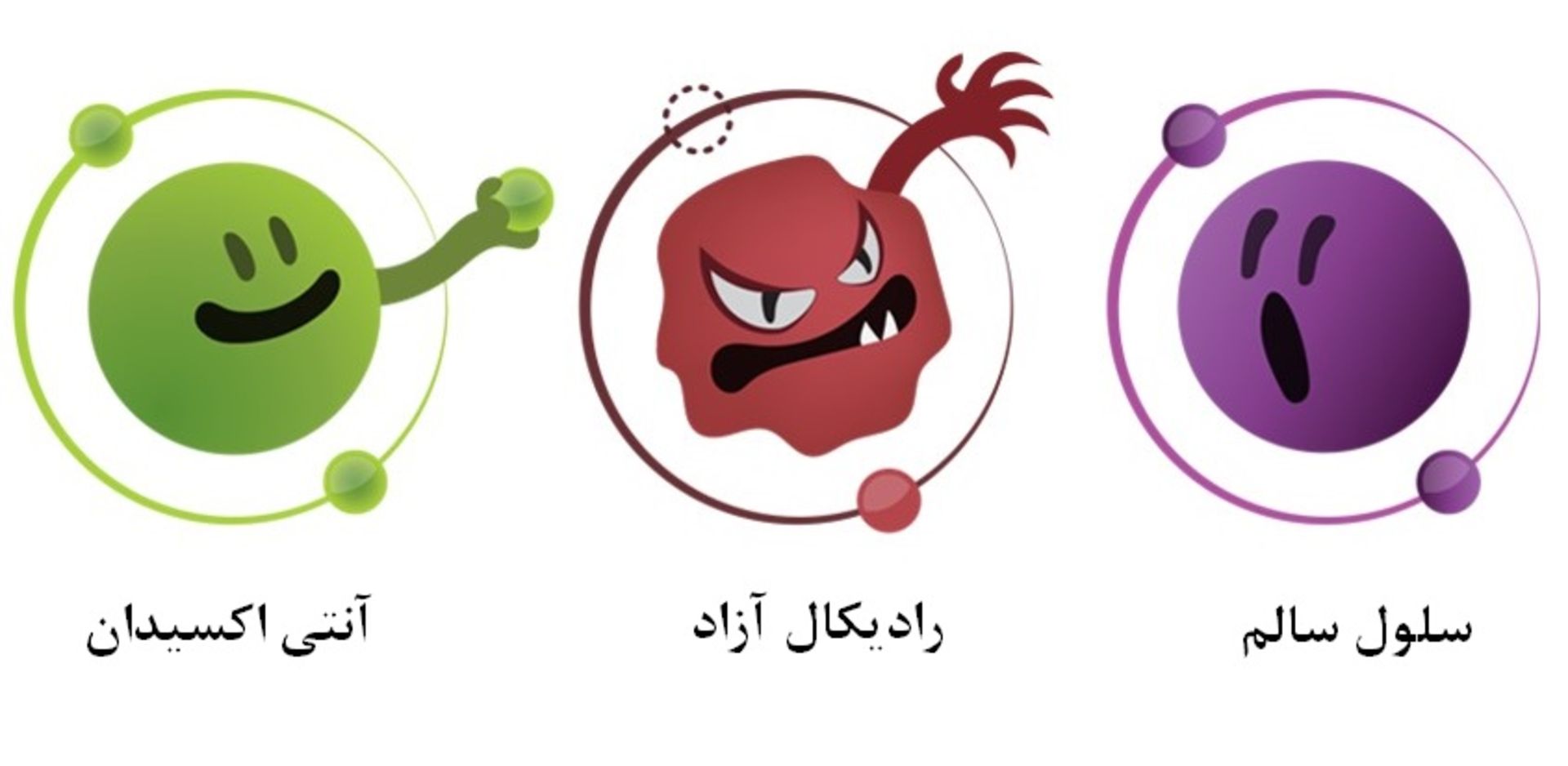 رادیکال آزاد و آنتی اکسیدان