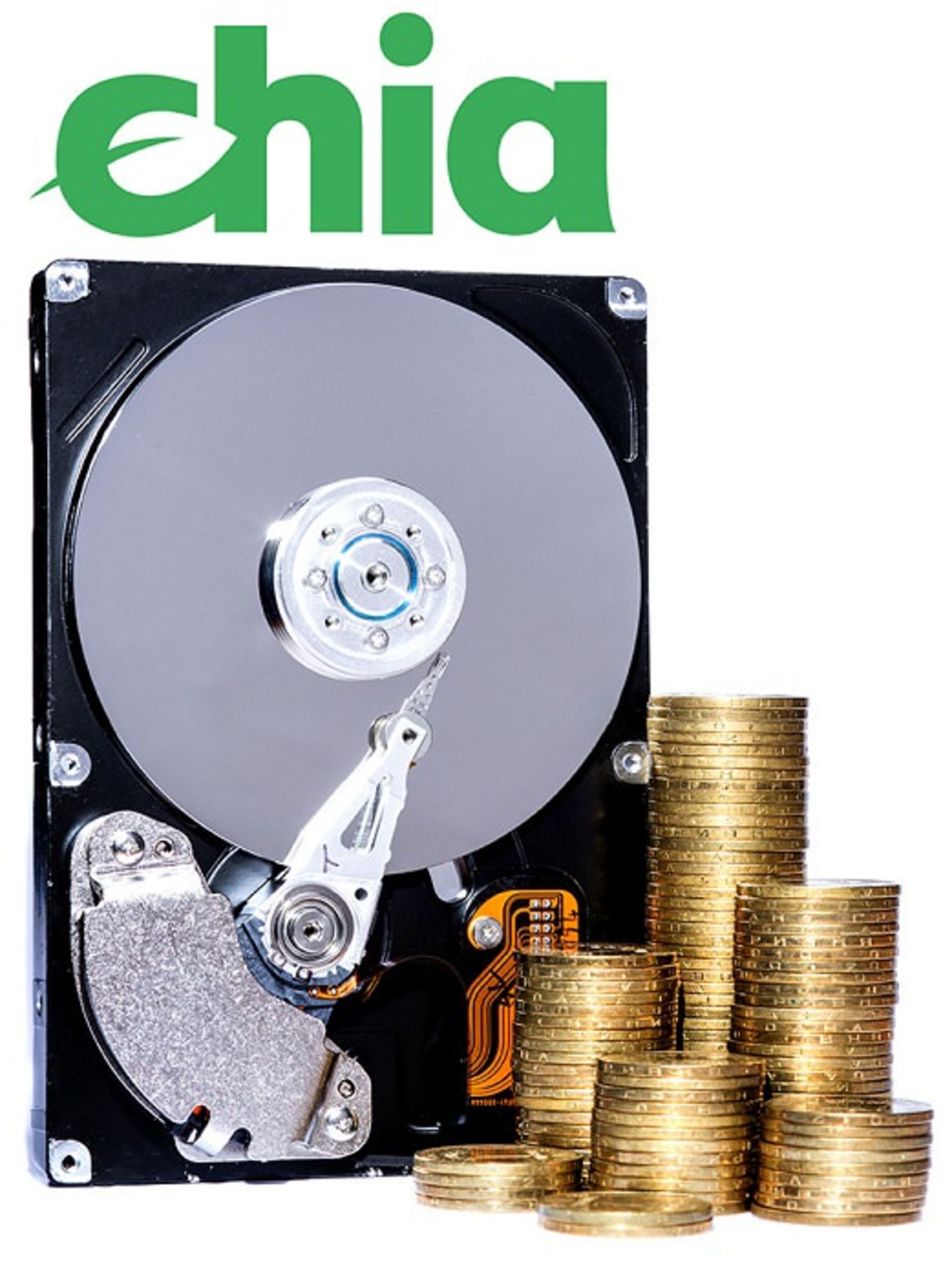 رمزارز چیا افزایش قیمت هارد