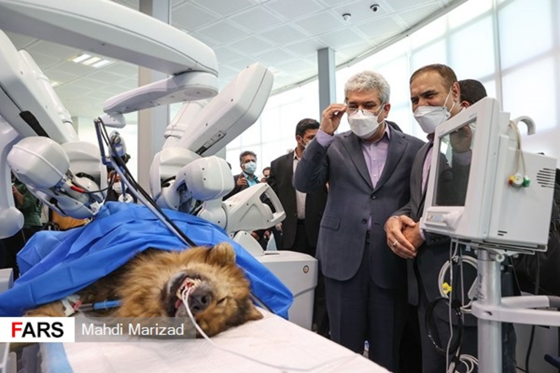 سورنا ستاری درحال نگاه کردن به سگ بیهوش تحت جراحی از راه دور