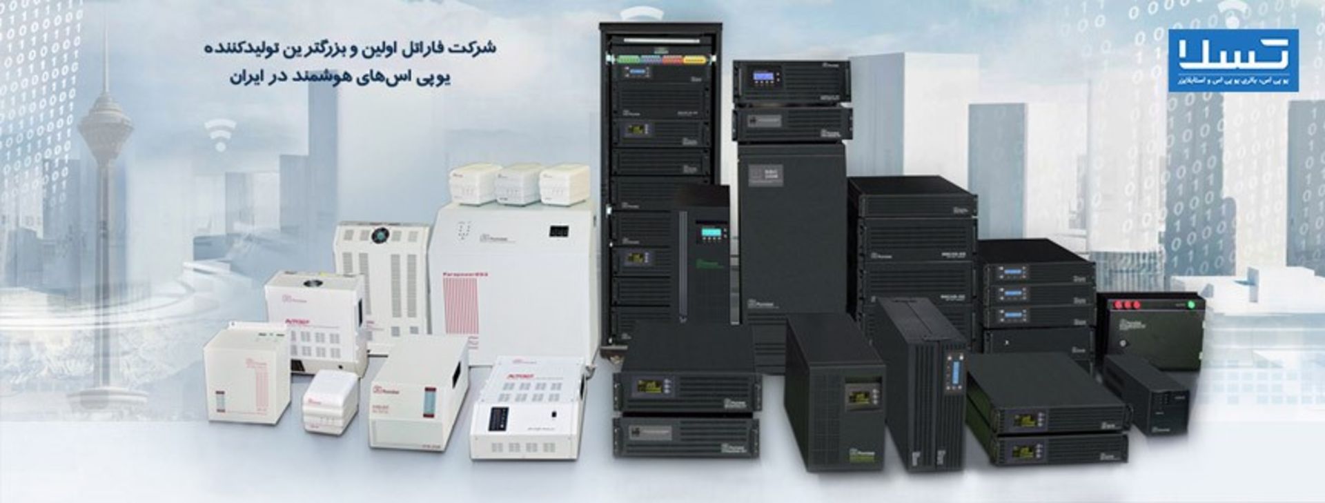 کاکتوس