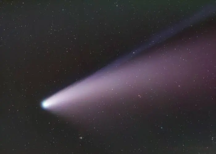 دنباله دار Neowise