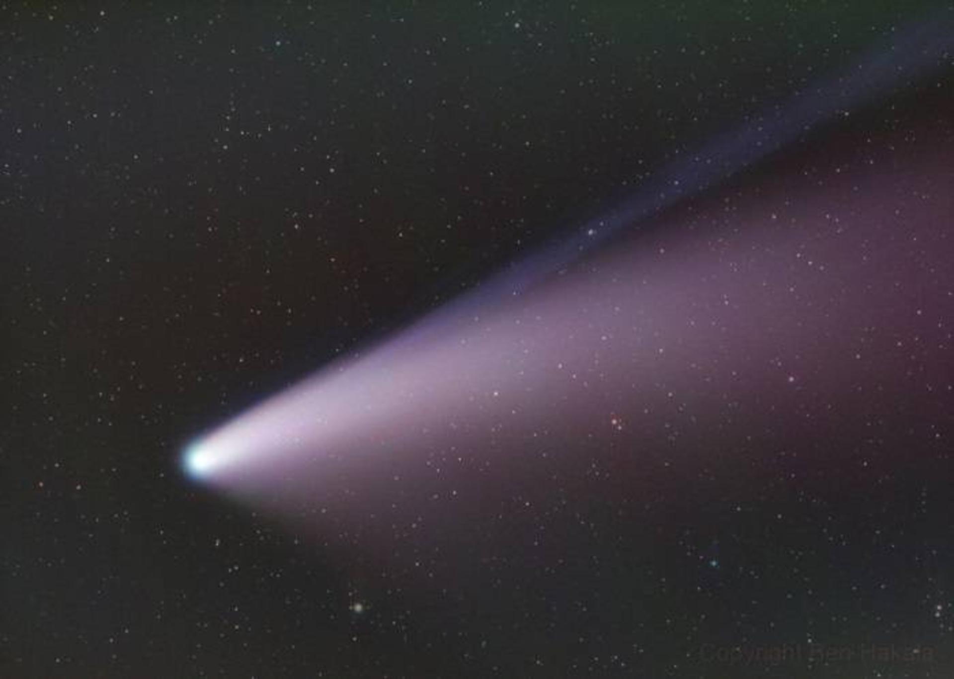 دنباله دار Neowise