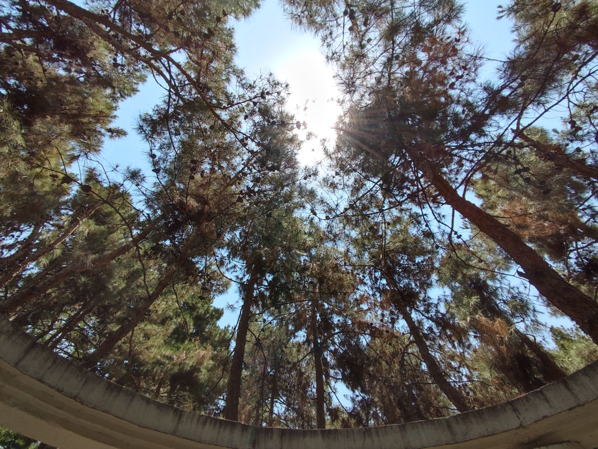 عکس HDR دوربین اولتراواید پوکو F3