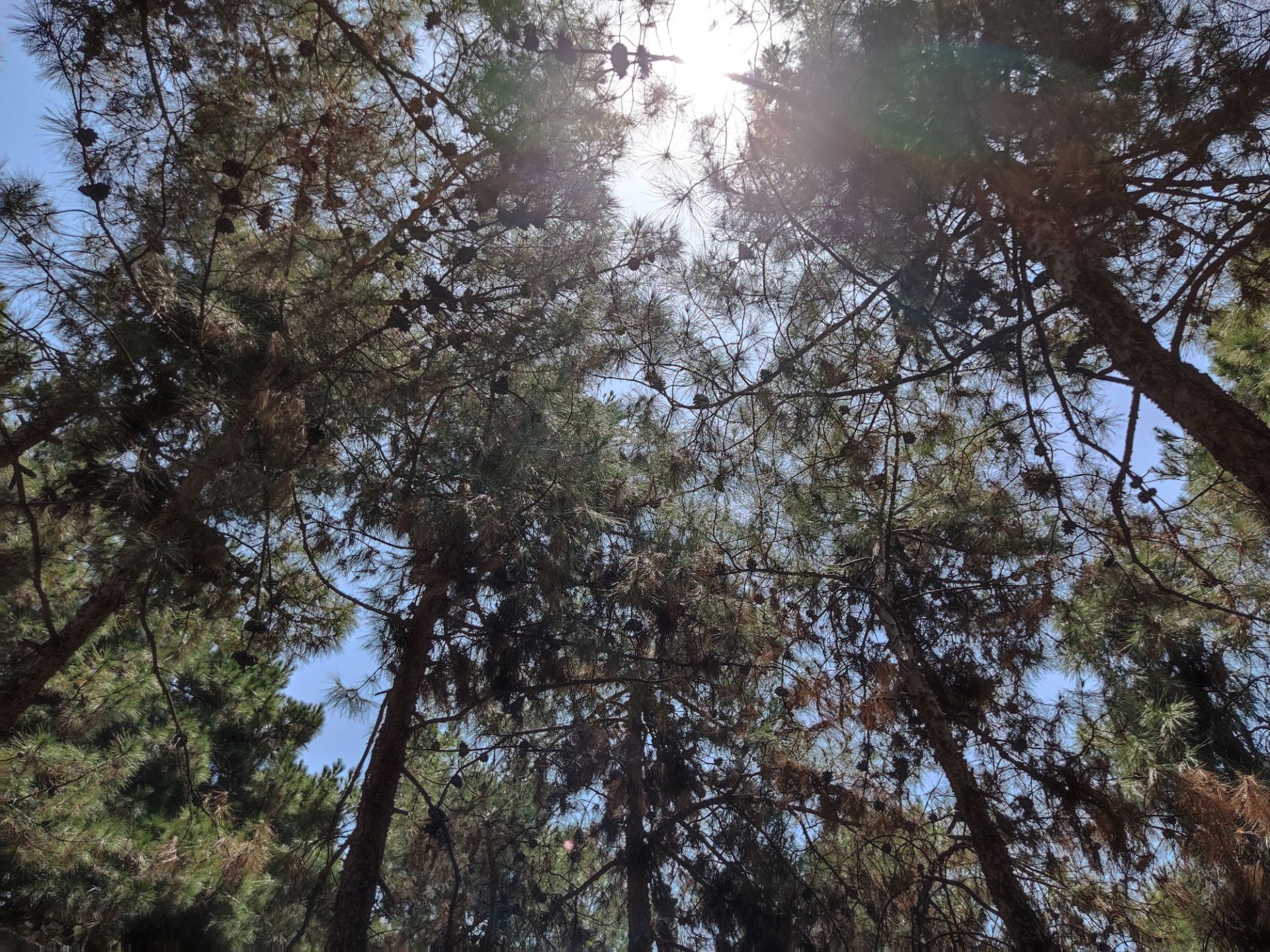 عکس HDR دوربین واید پوکو F3