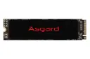 نمای روبرو SSD ازگارد Asgard AN2 NVMe M.2 250GB