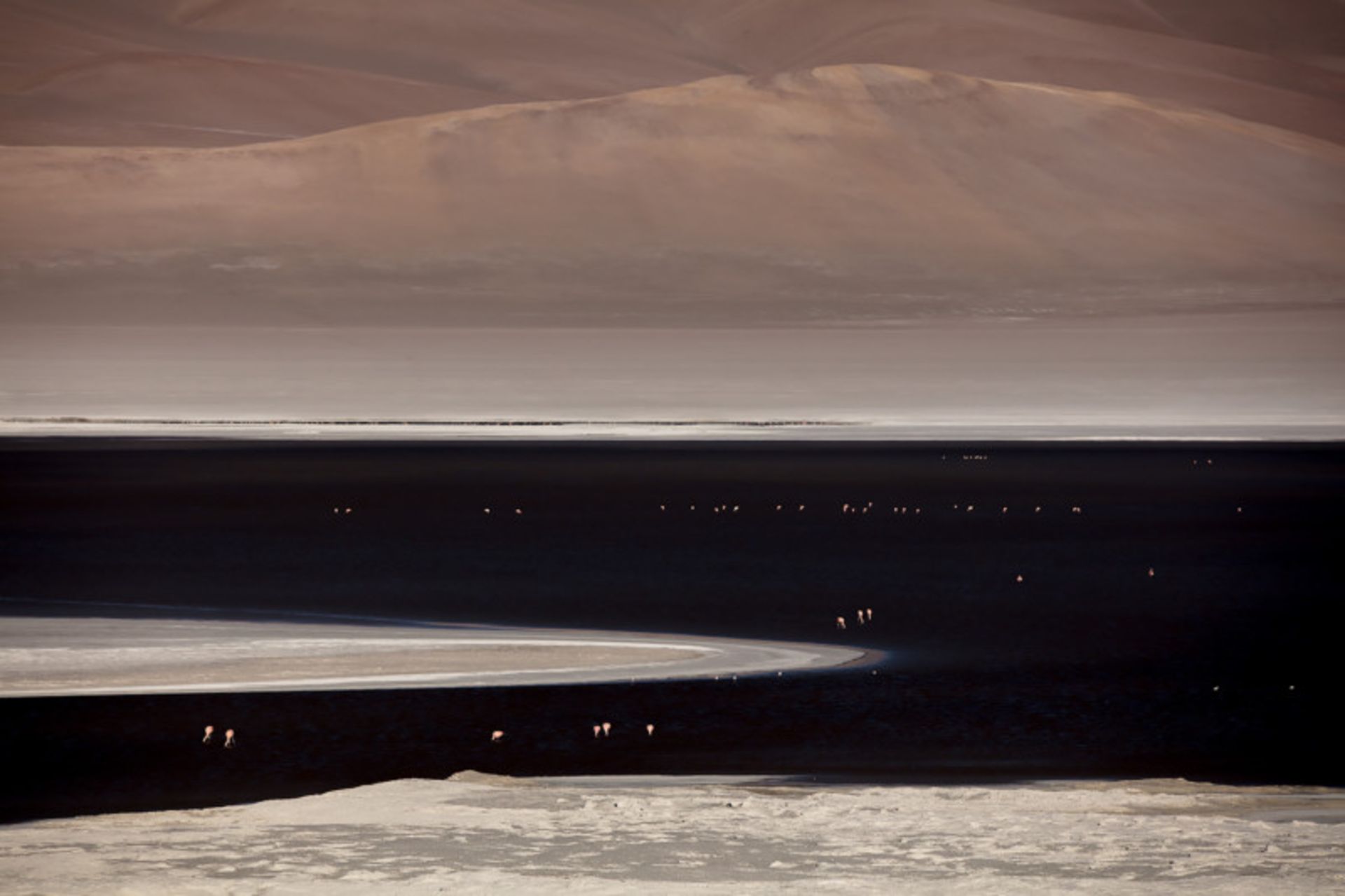 عکاسی از طبیعت