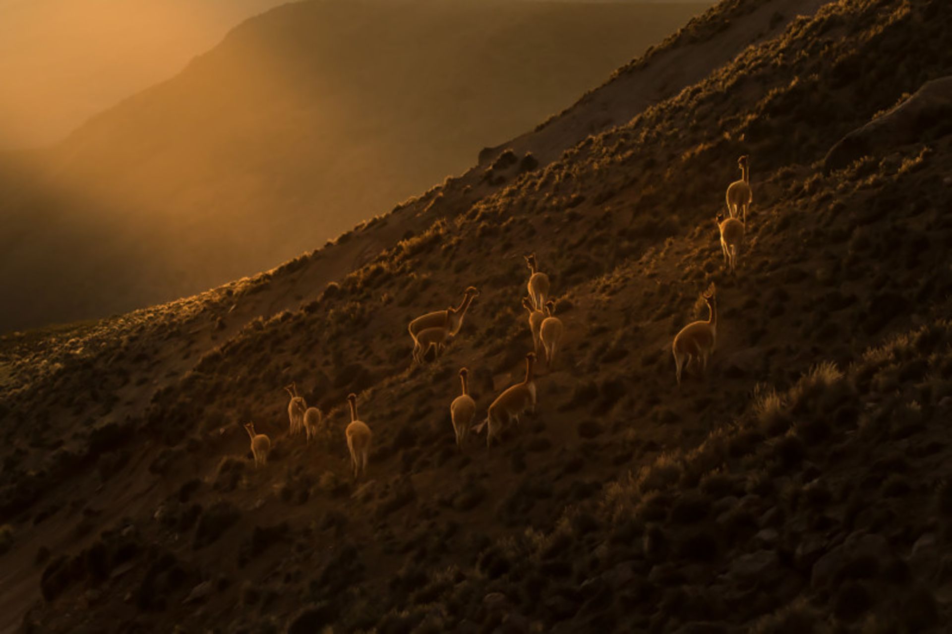 عکاسی از طبیعت