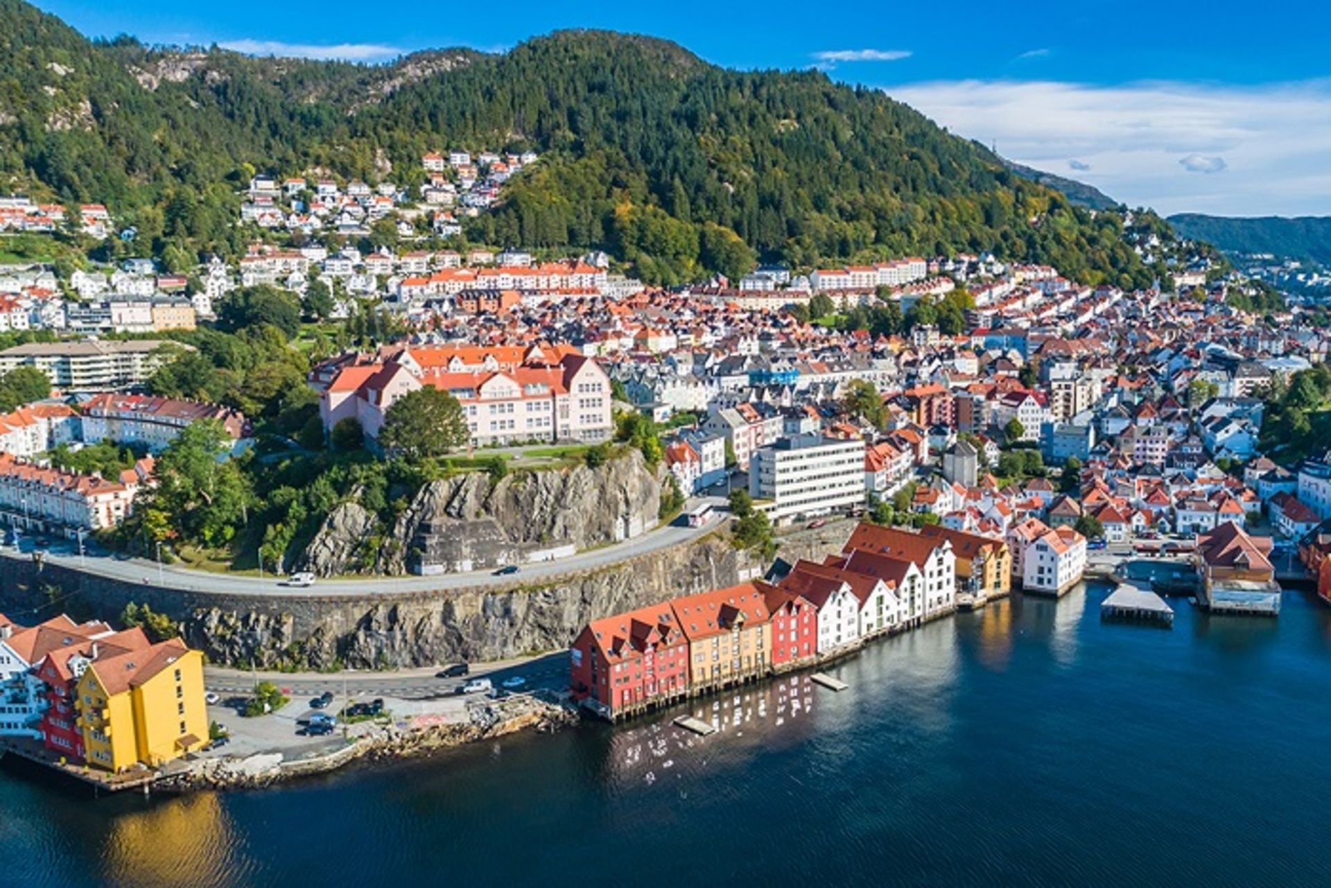 حقایق جالب از TIL