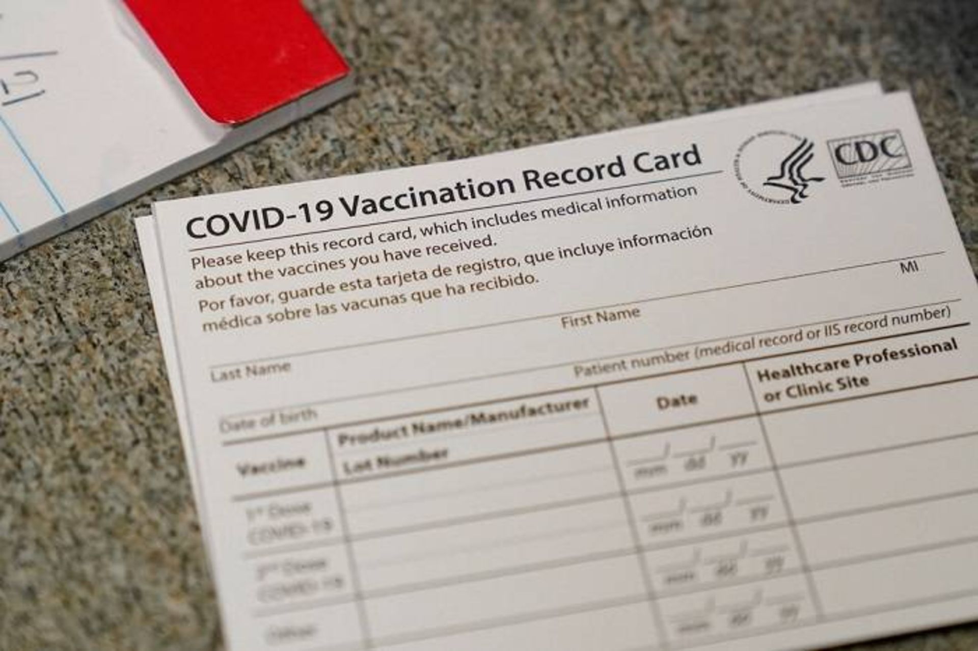 کارت جعلی واکسیناسیون کووید جولی مازی