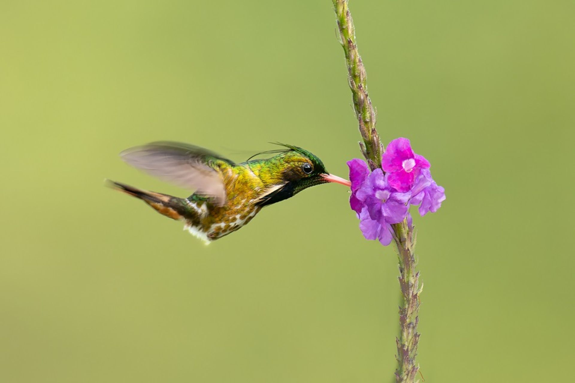 نکات عکاسی از طبیعت