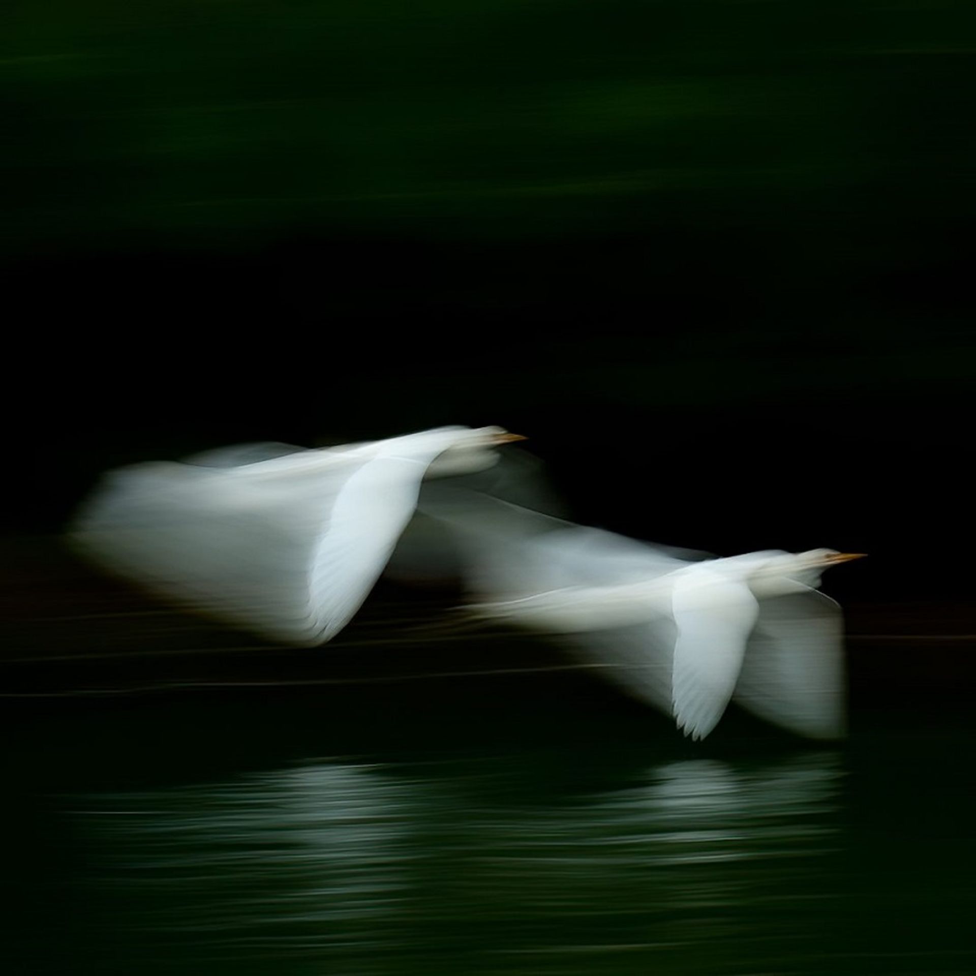 نکات عکاسی از طبیعت 