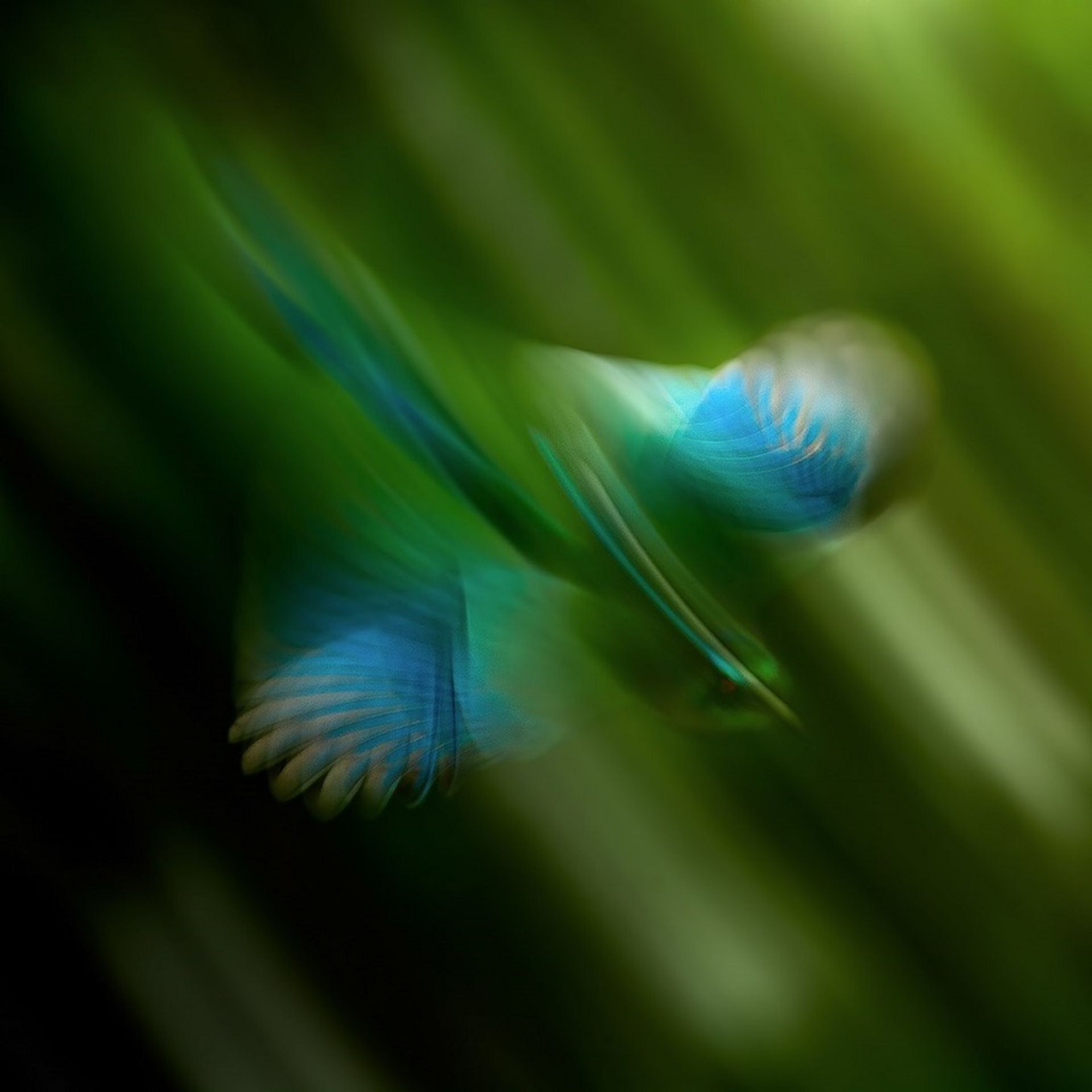 نکات عکاسی از طبیعت 