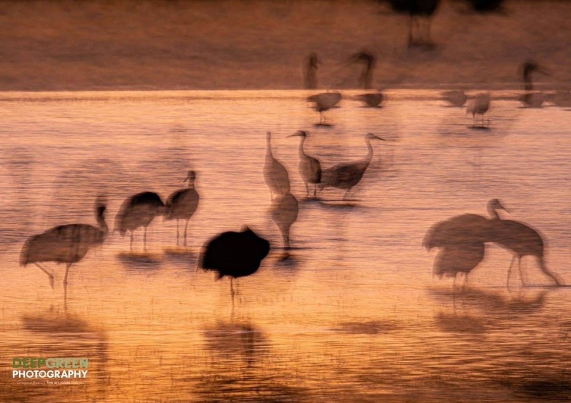 نکات عکاسی از طبیعت 