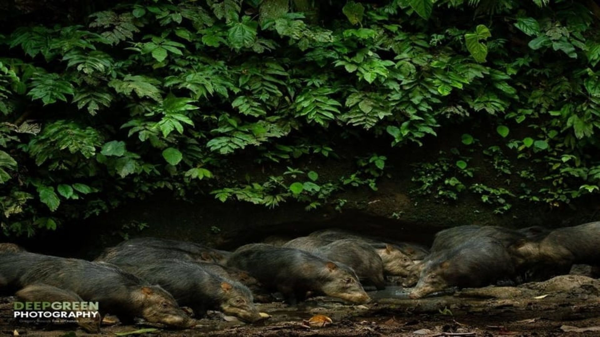 نکات عکاسی از طبیعت 