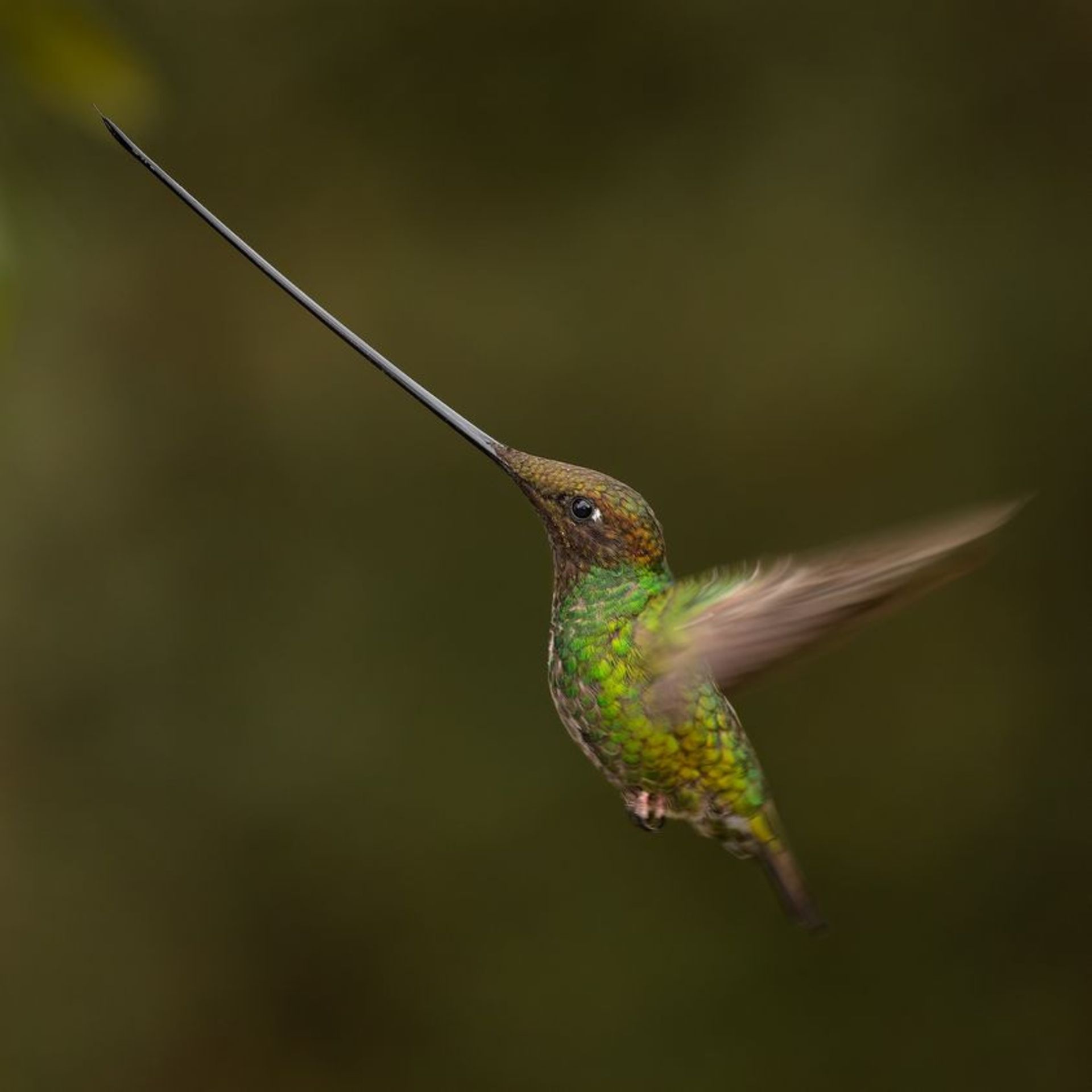 نکات عکاسی از طبیعت