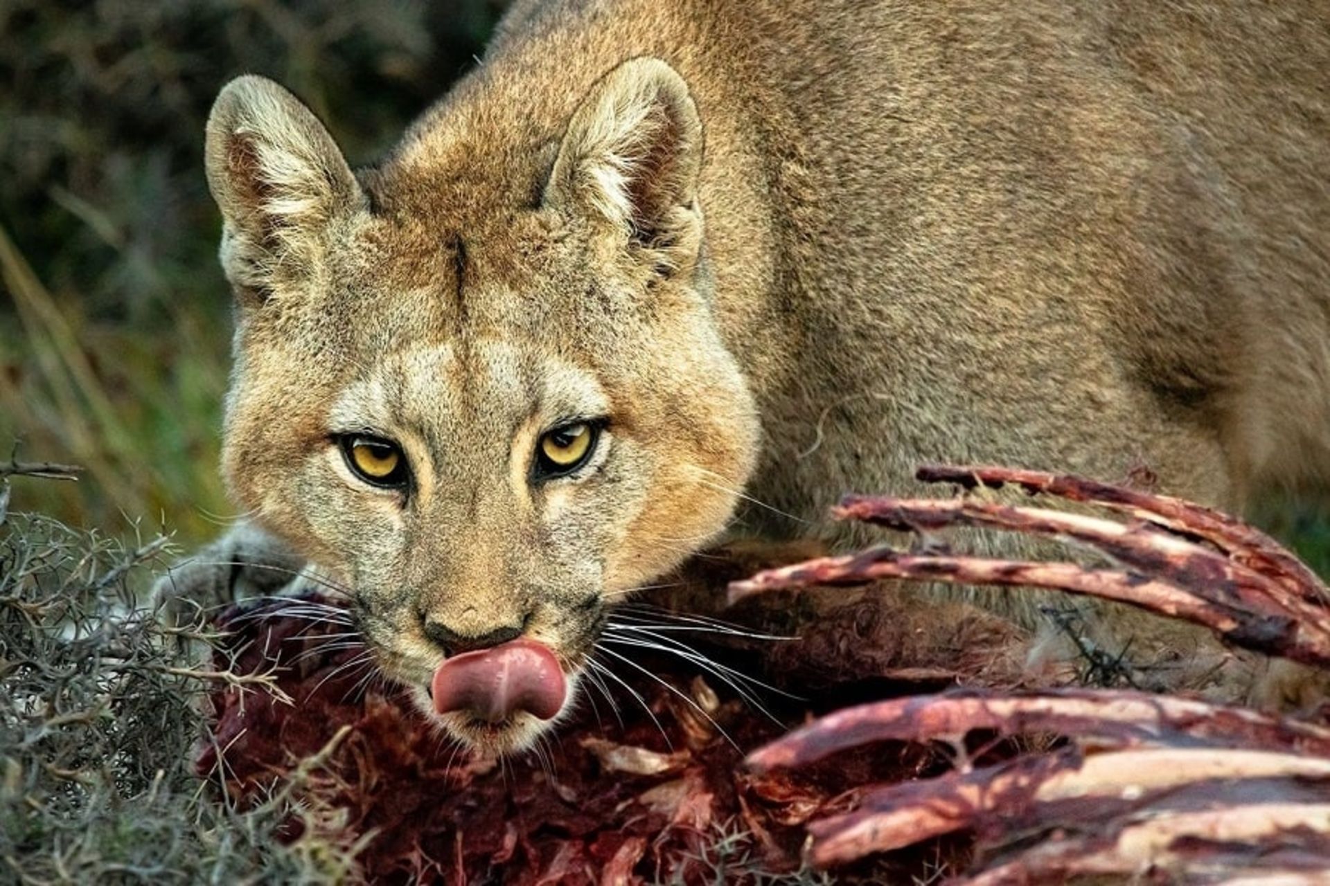 نکات عکاسی از طبیعت