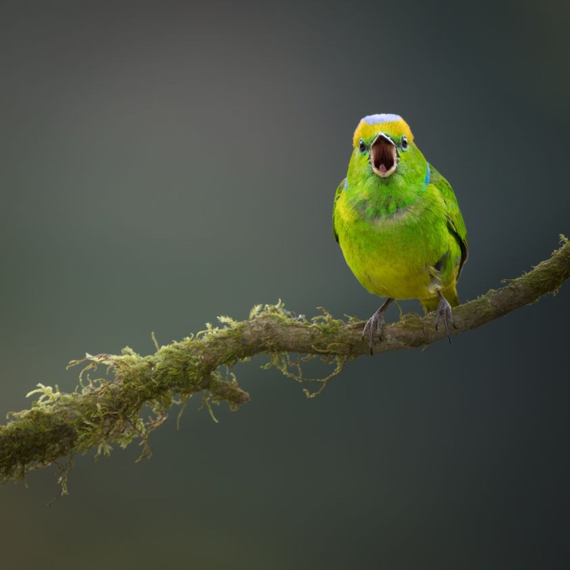 نکات عکاسی از طبیعت