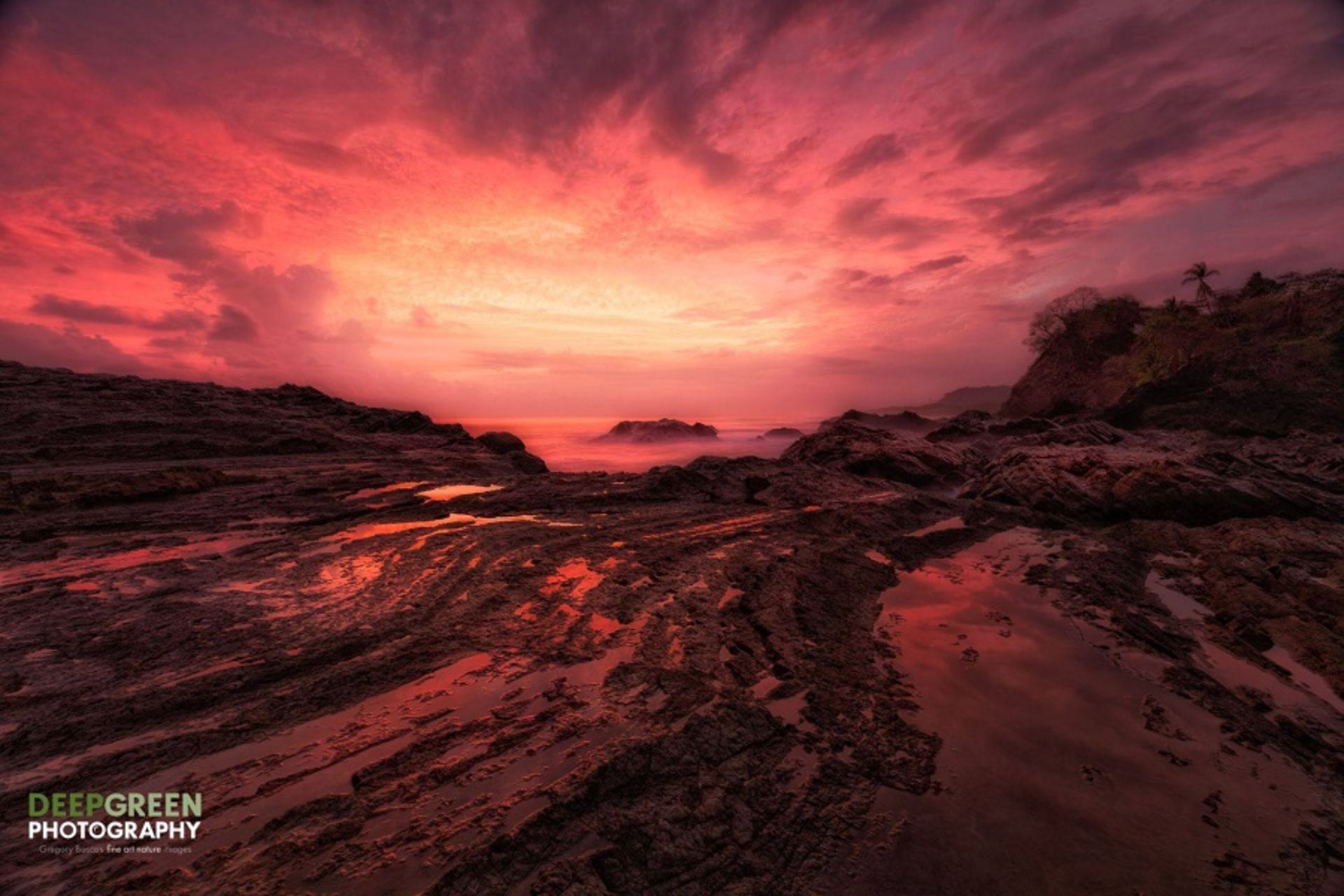 نکات عکاسی از طبیعت / رنگ‌ها