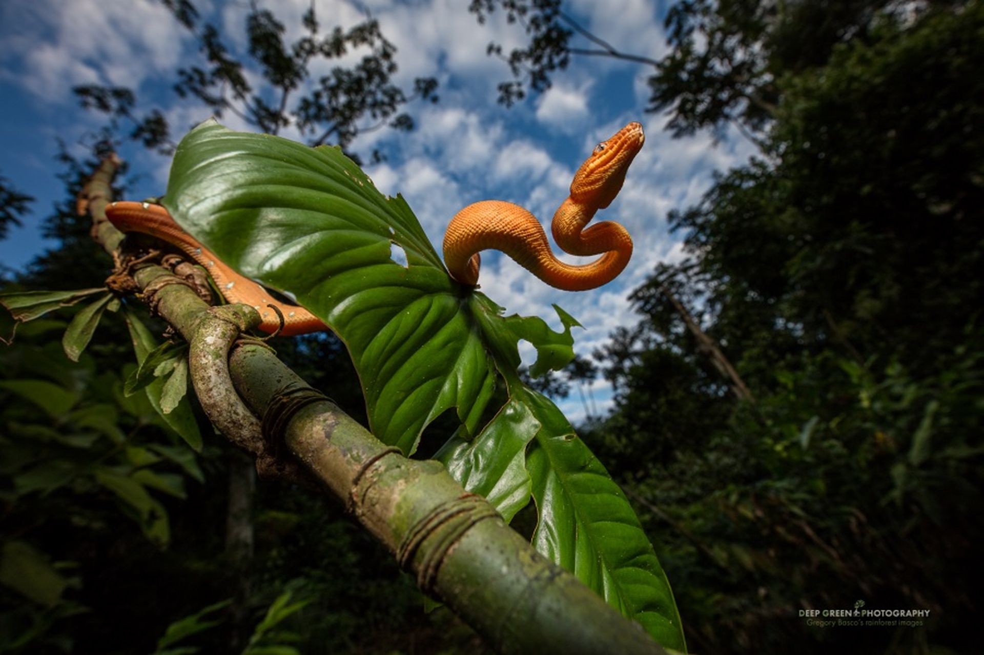 نکات عکاسی از طبیعت / رنگ‌ها