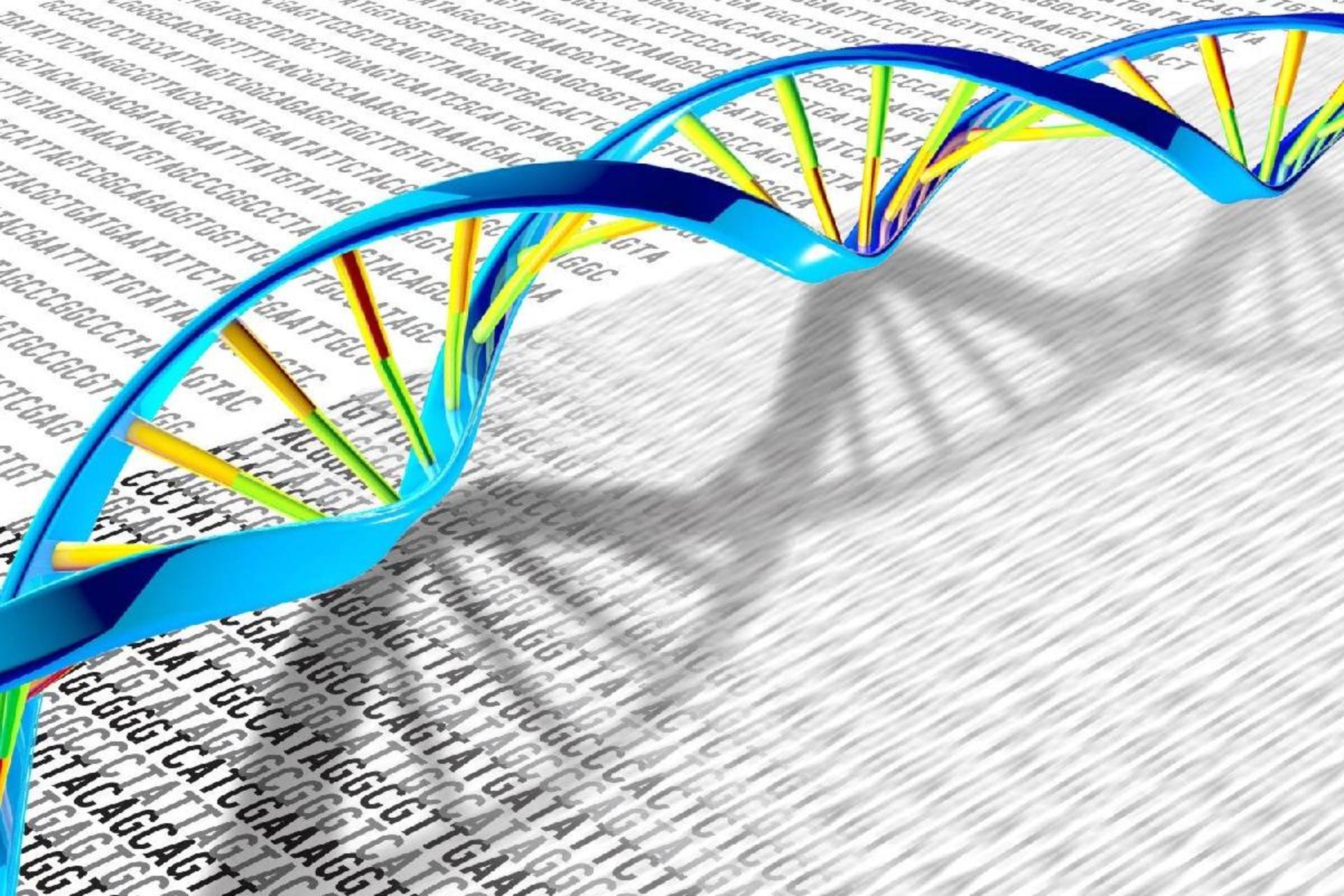 فقط بخش کوچکی از DNA ما به طور خاص مربوط به انسان مدرن است