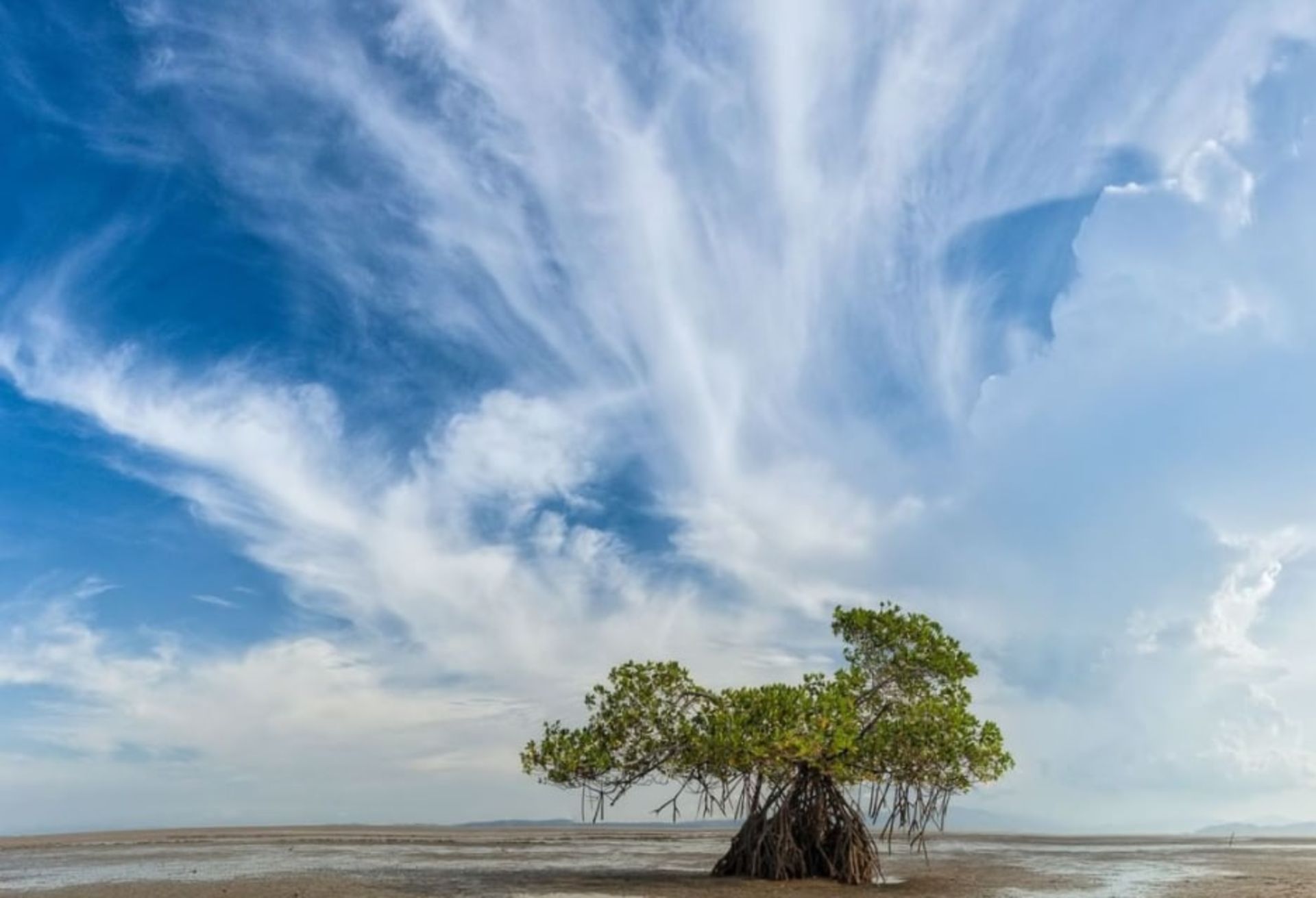 نکات عکاسی از طبیعت/ آسمان دراماتیک