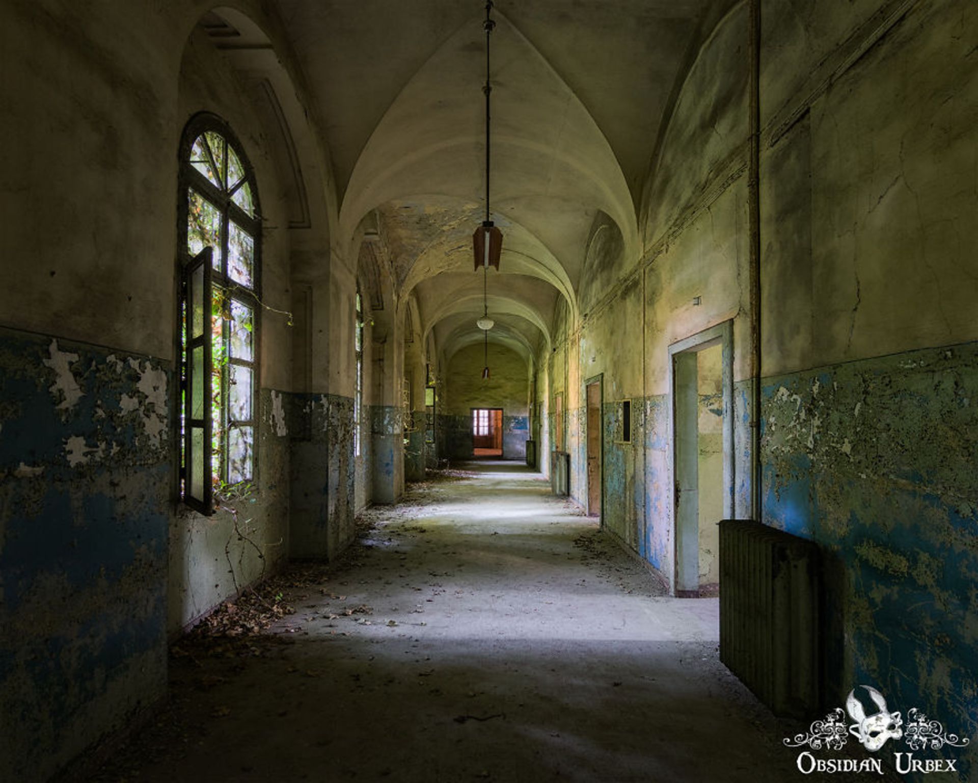 جنین پندلتون / عکاسی اوربکس