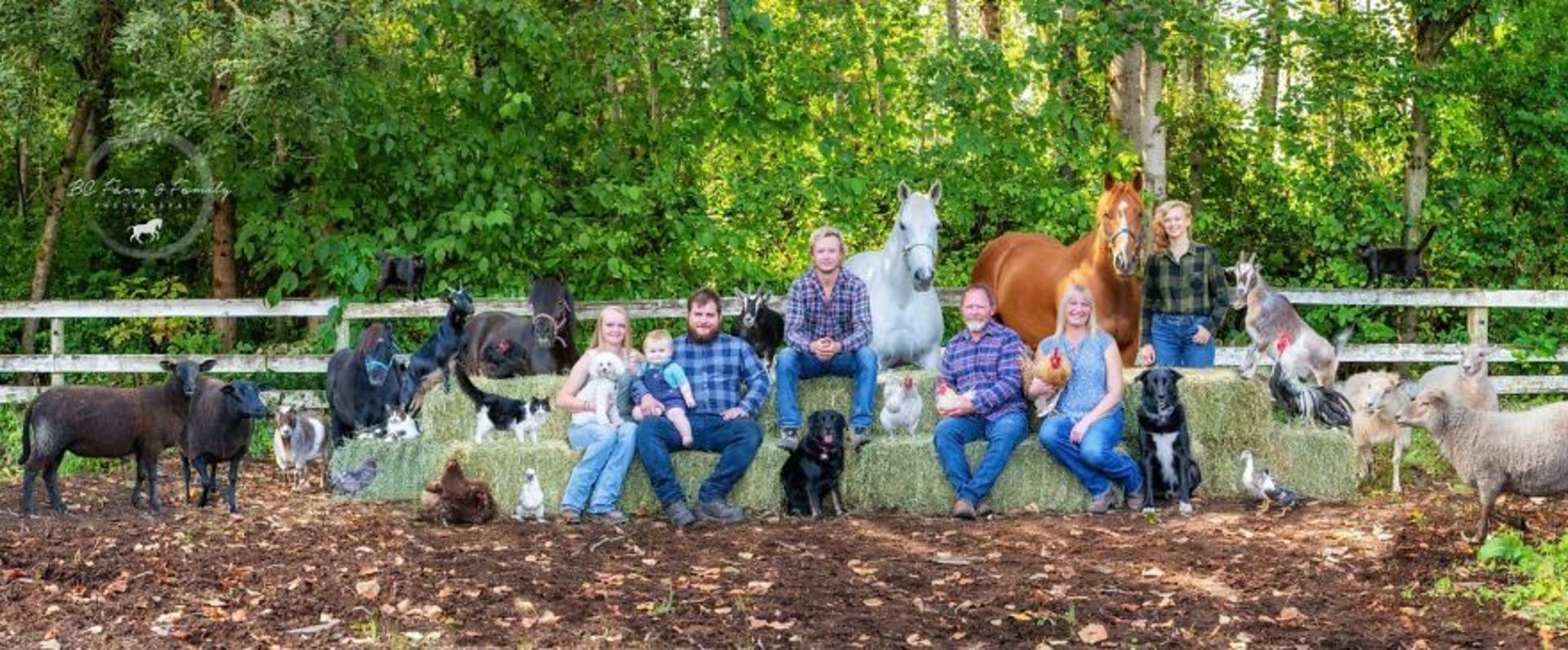 تاشا هال / حیوانات مزرعه / Farmily