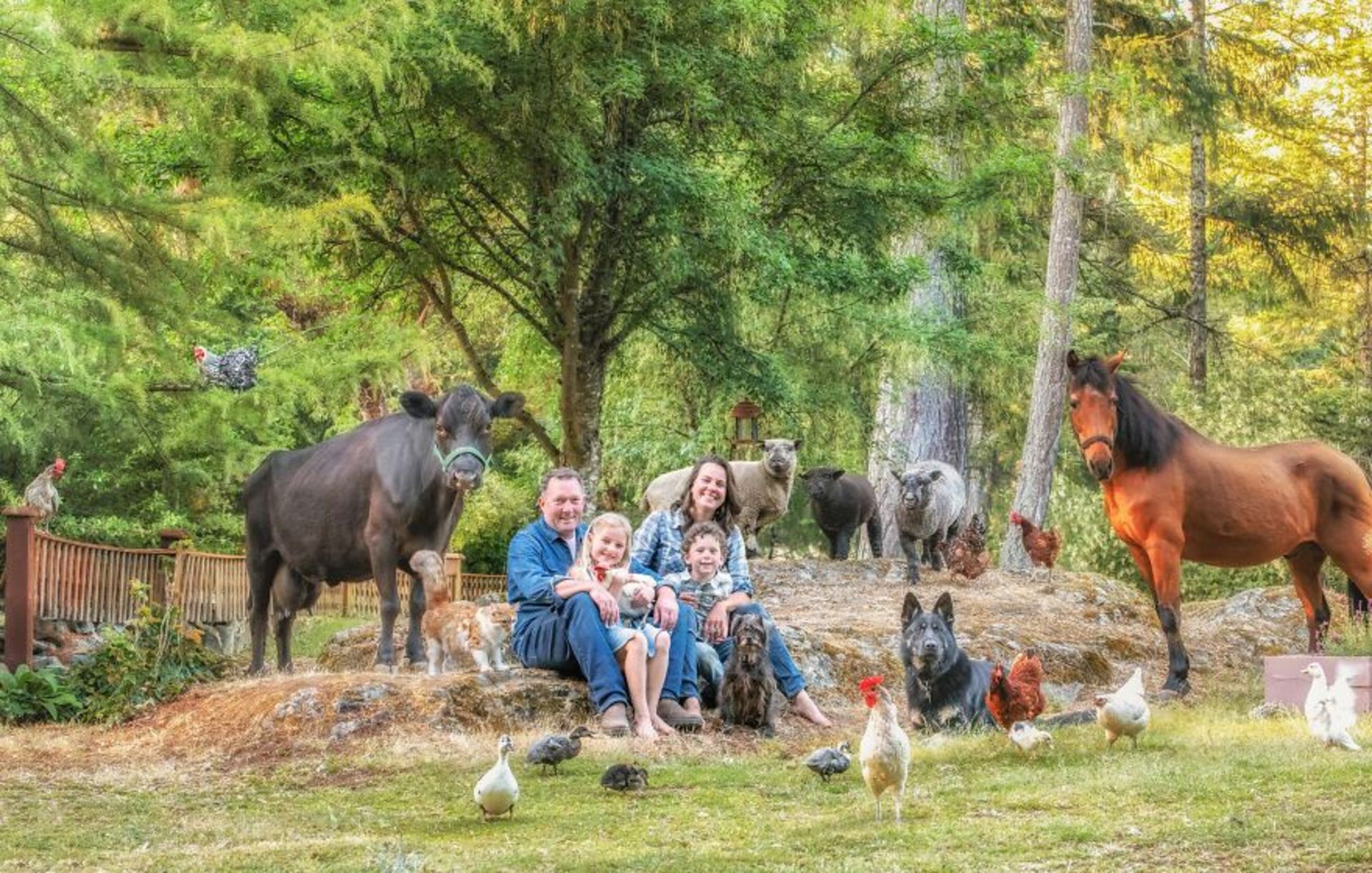 تاشا هال / حیوانات مزرعه / Farmily