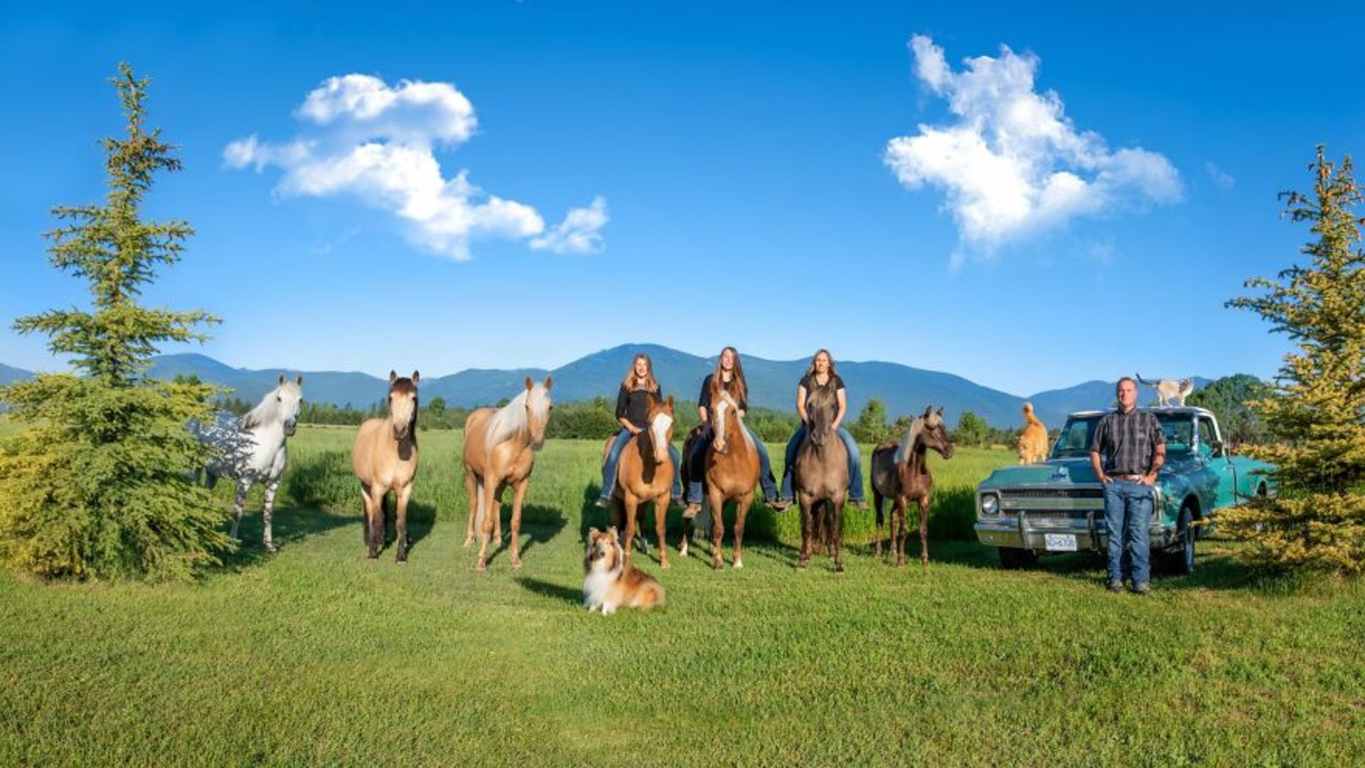 تاشا هال / حیوانات مزرعه / Farmily