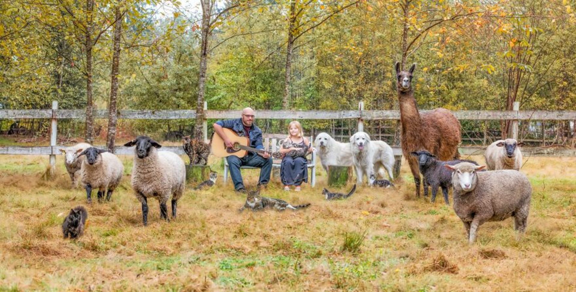 تاشا هال / حیوانات مزرعه / Farmily