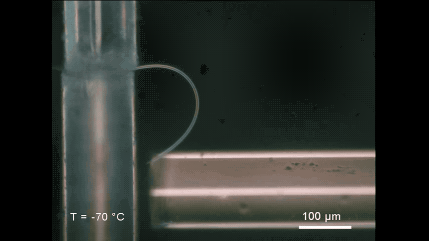 خمیده شدن رشته یخ انعطاف پذیر