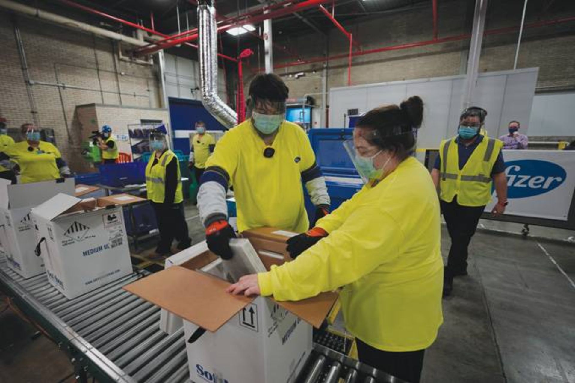 کارکنان فایزر درحال ارسال محموله واکسن کووید