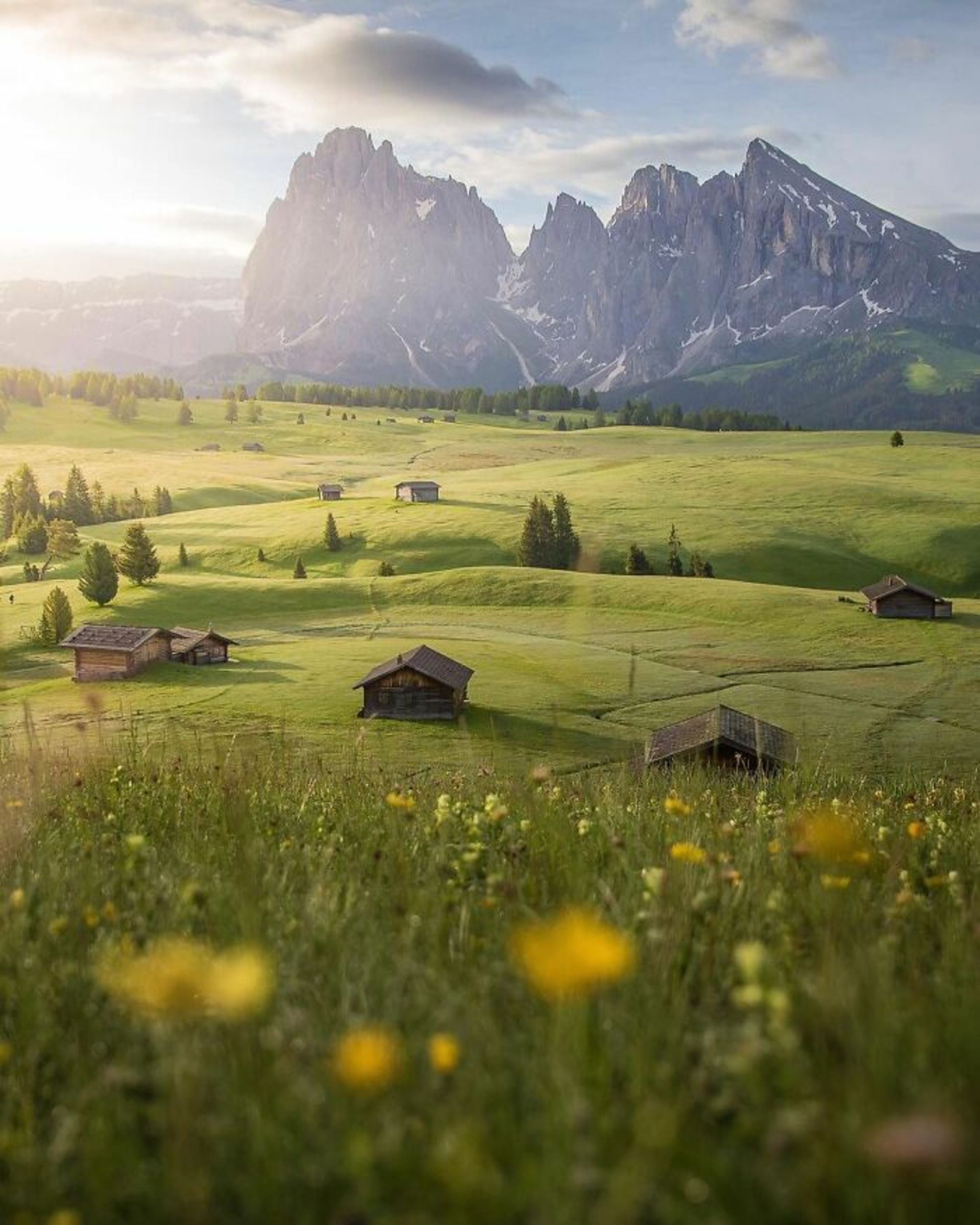 دیوید آنزیمانی / عکاس سفری