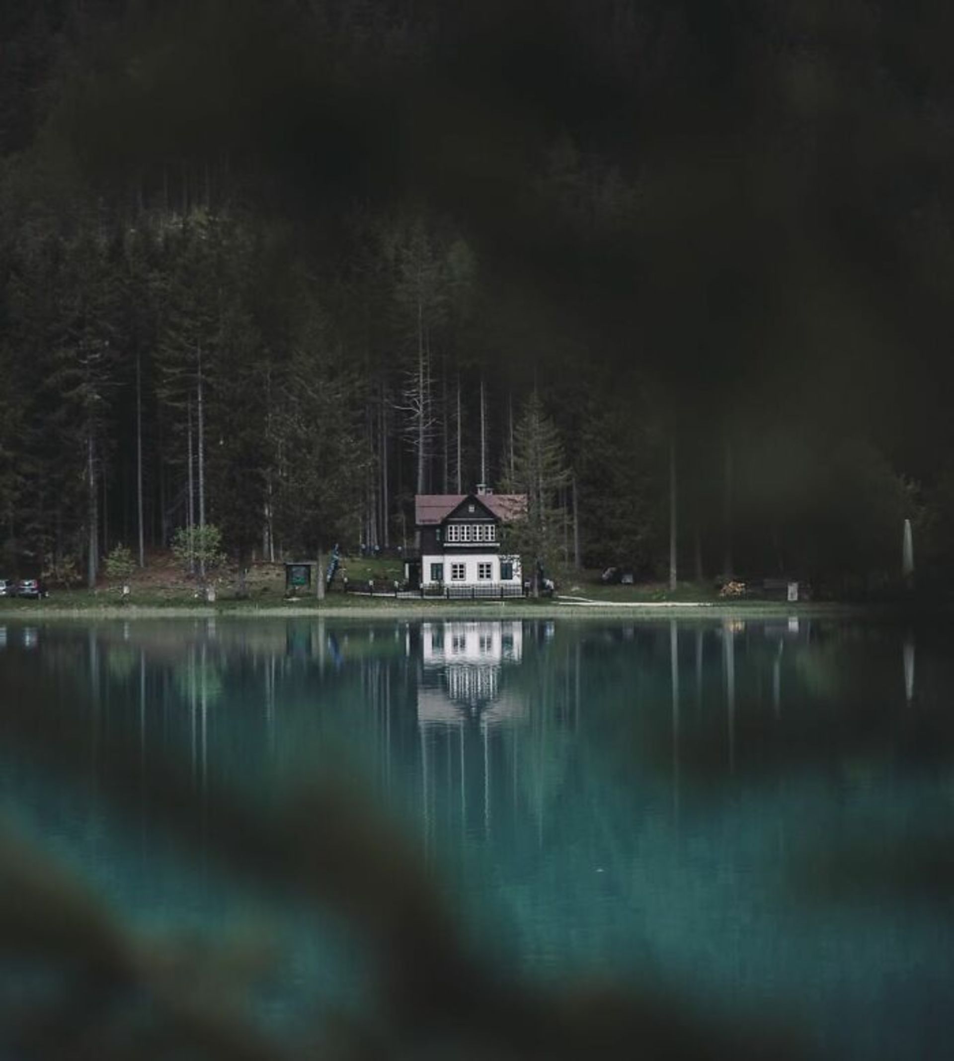 دیوید آنزیمانی / عکاس سفری