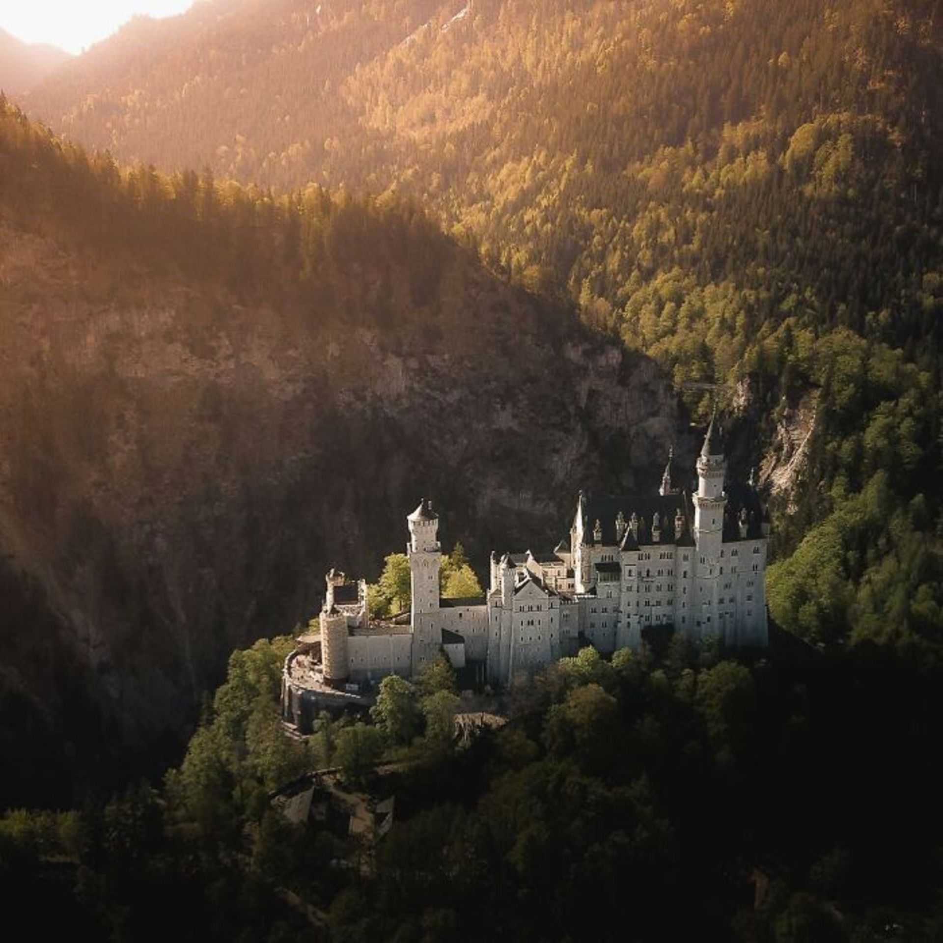 دیوید آنزیمانی / عکاس سفری