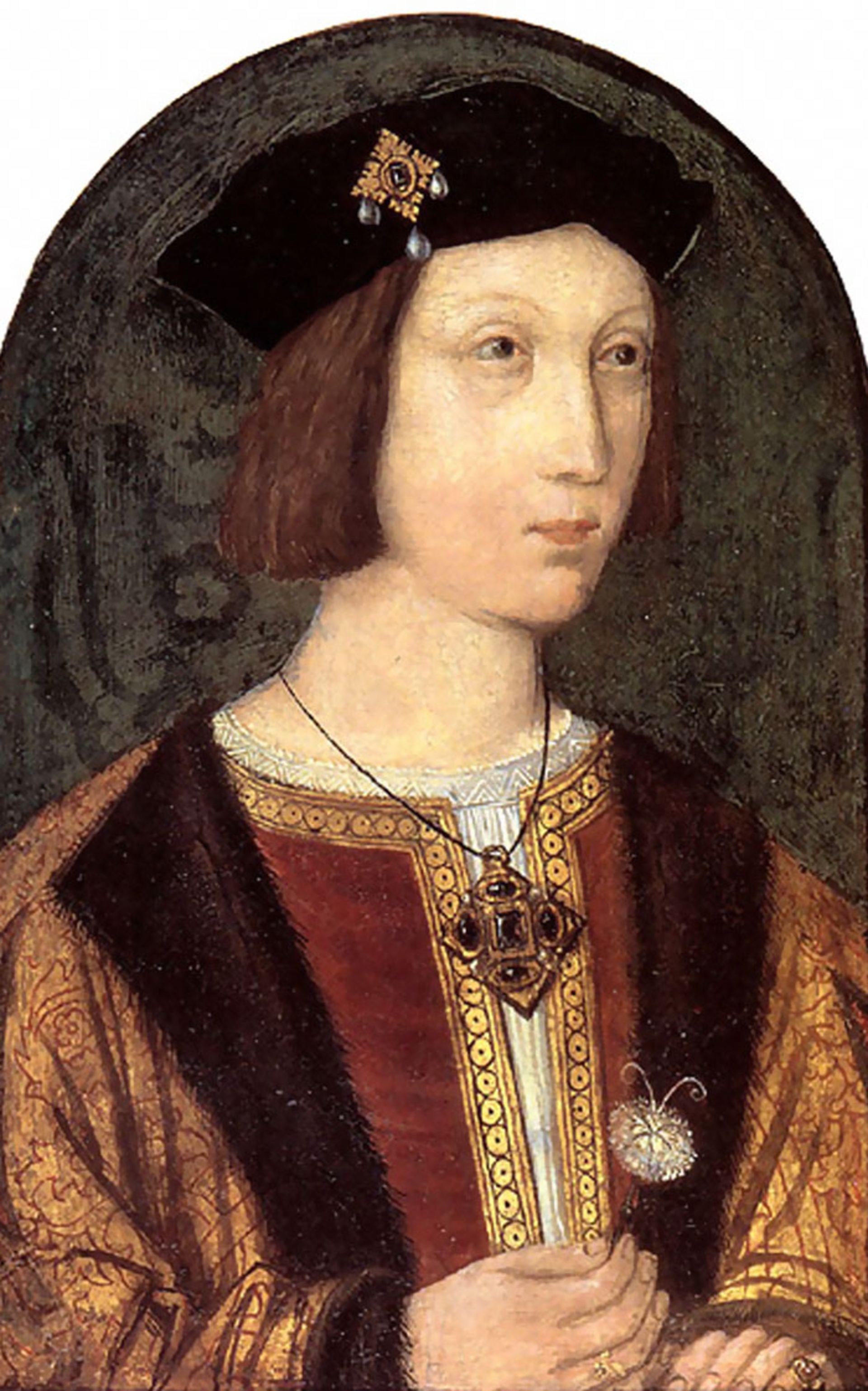 حقایق جالب از TIL