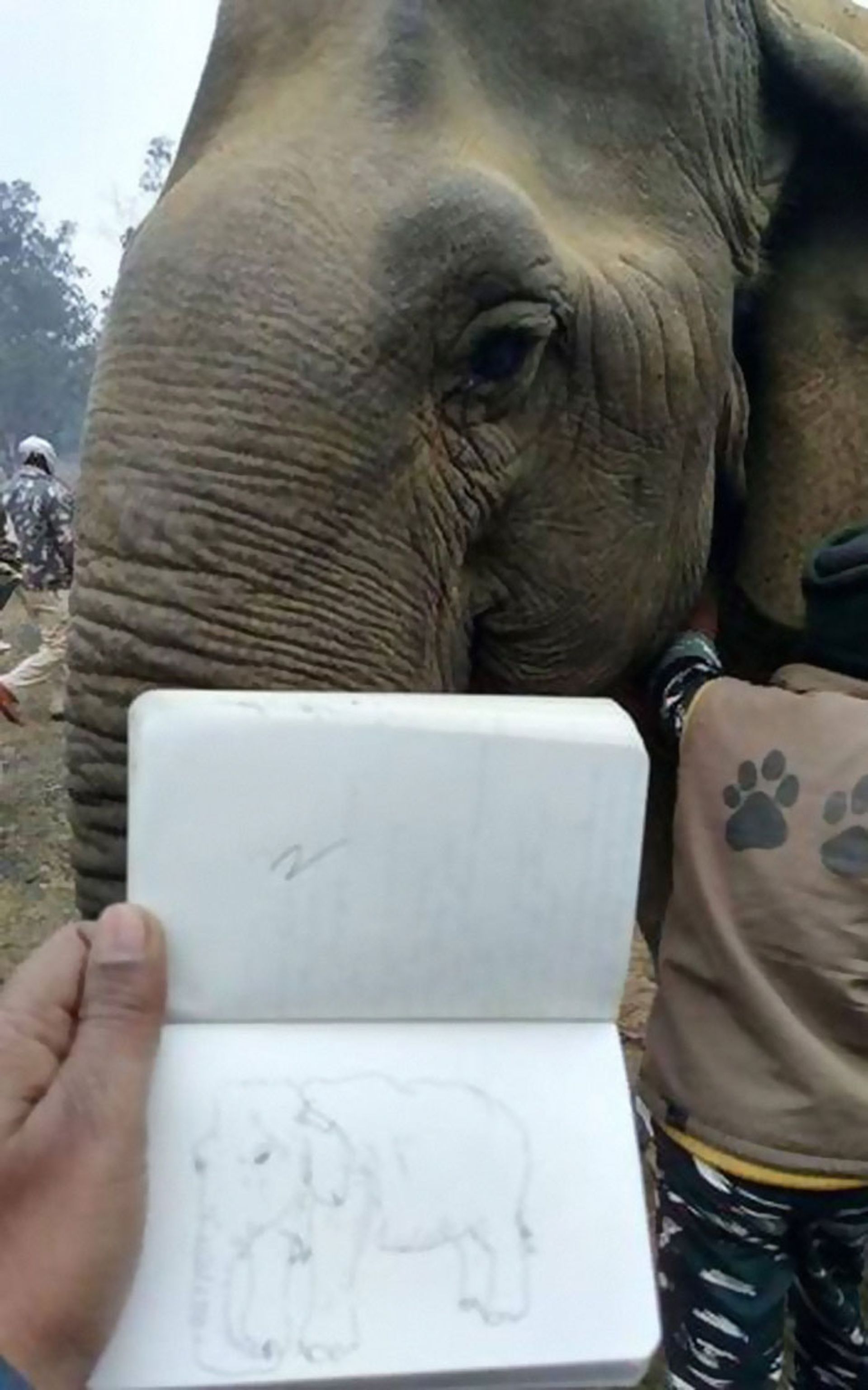 حقایق جالب از TIL