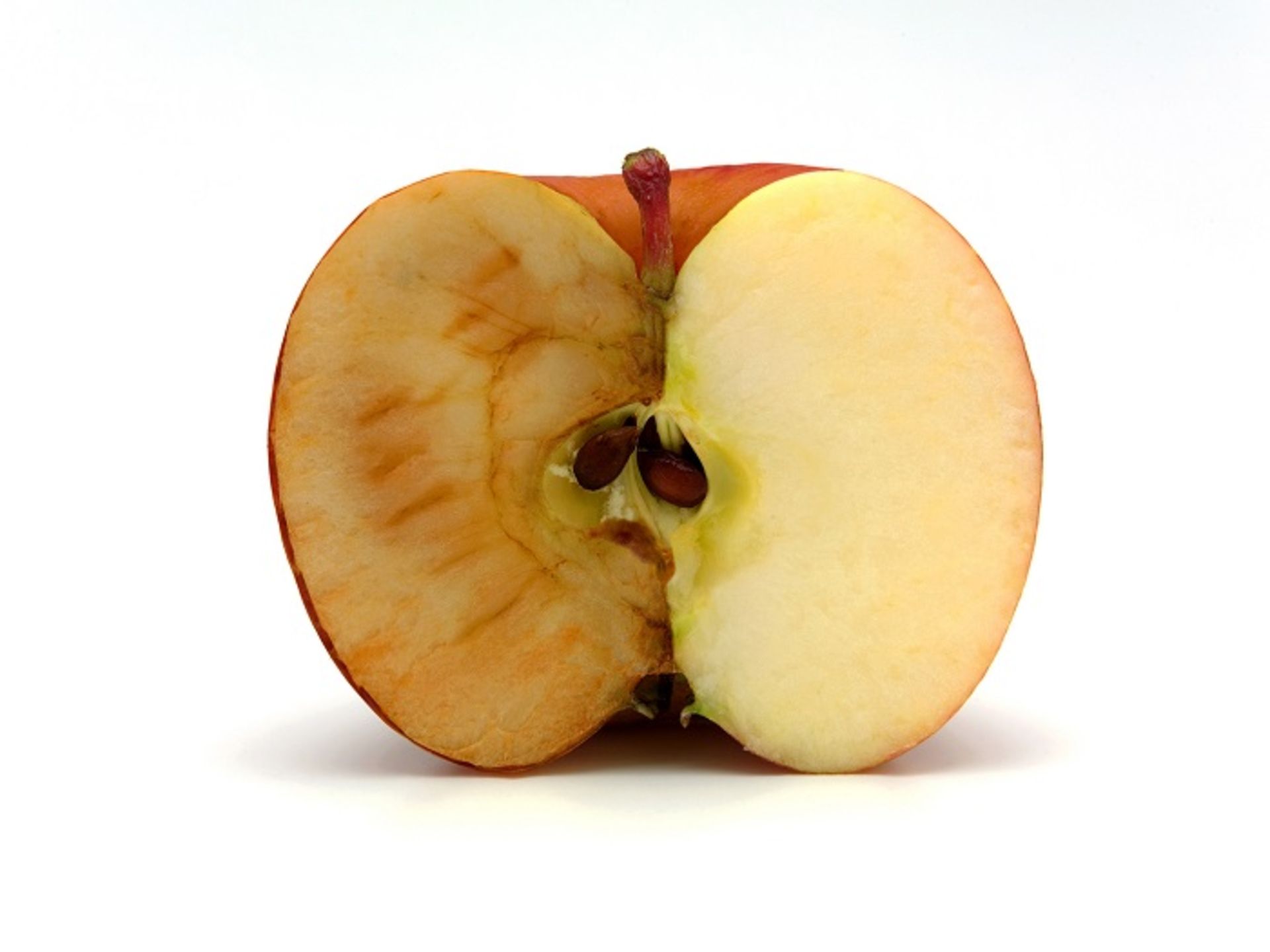 حقایق جالب از TIL